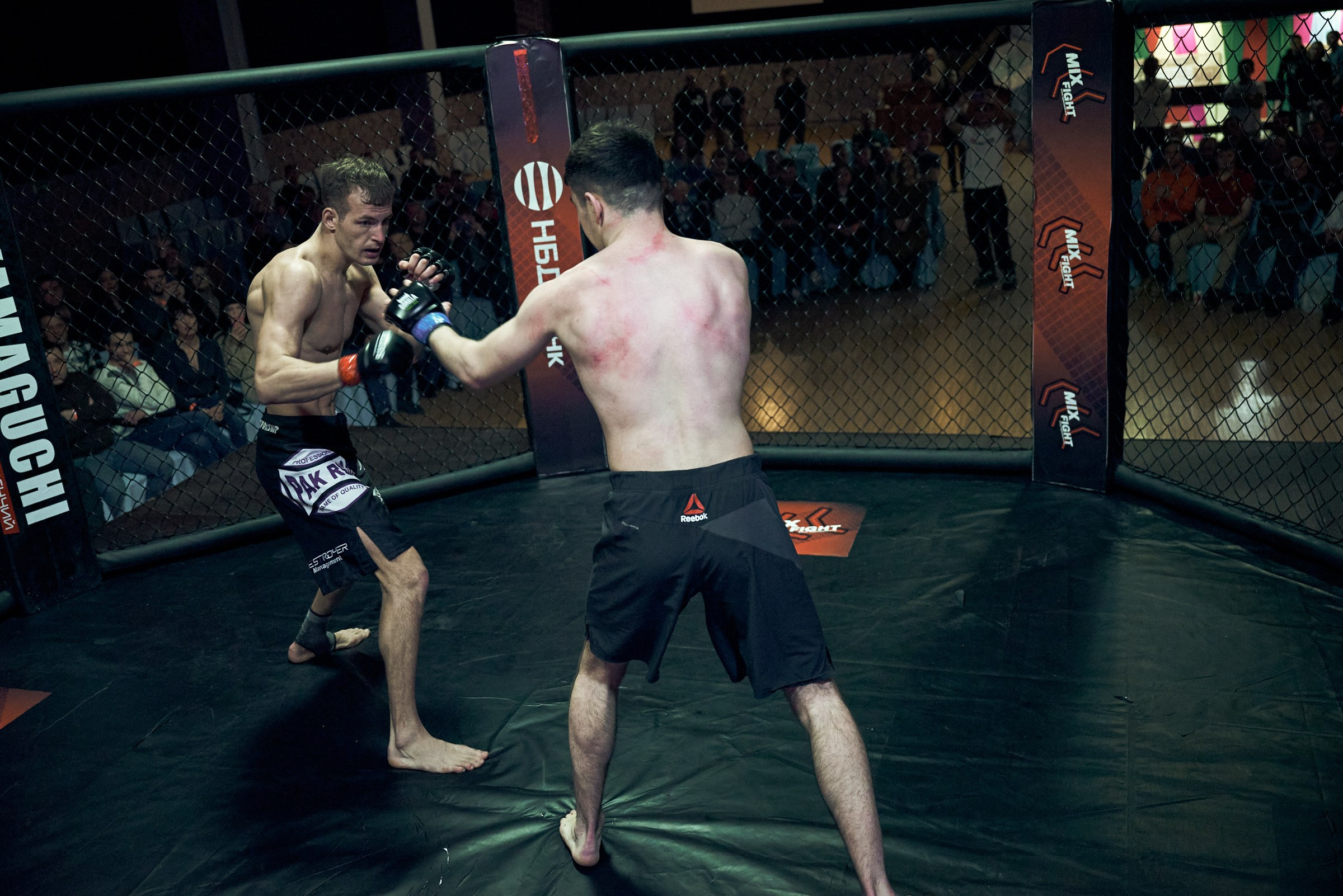 Бои. Маляревич Дмитрий свадебный фотограф