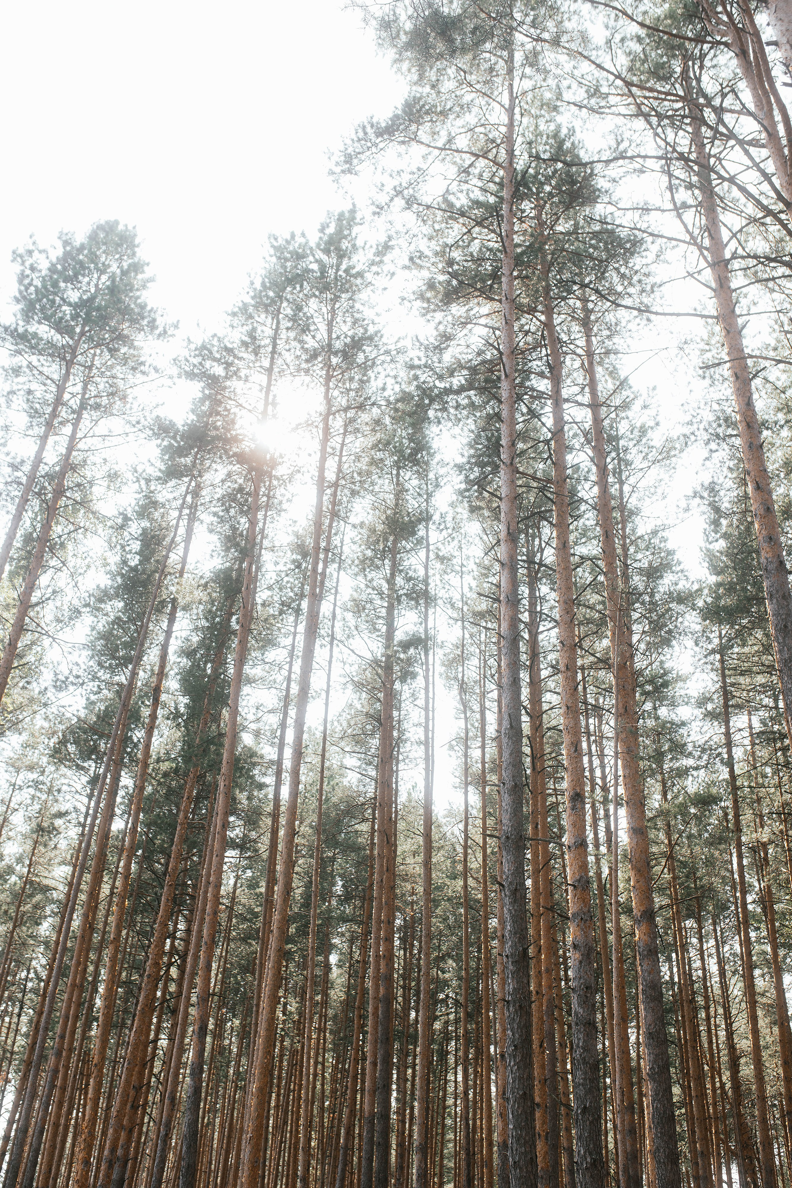 Wedding day #62. Свадебный, семейный фотограф в Рязани Лена Брант