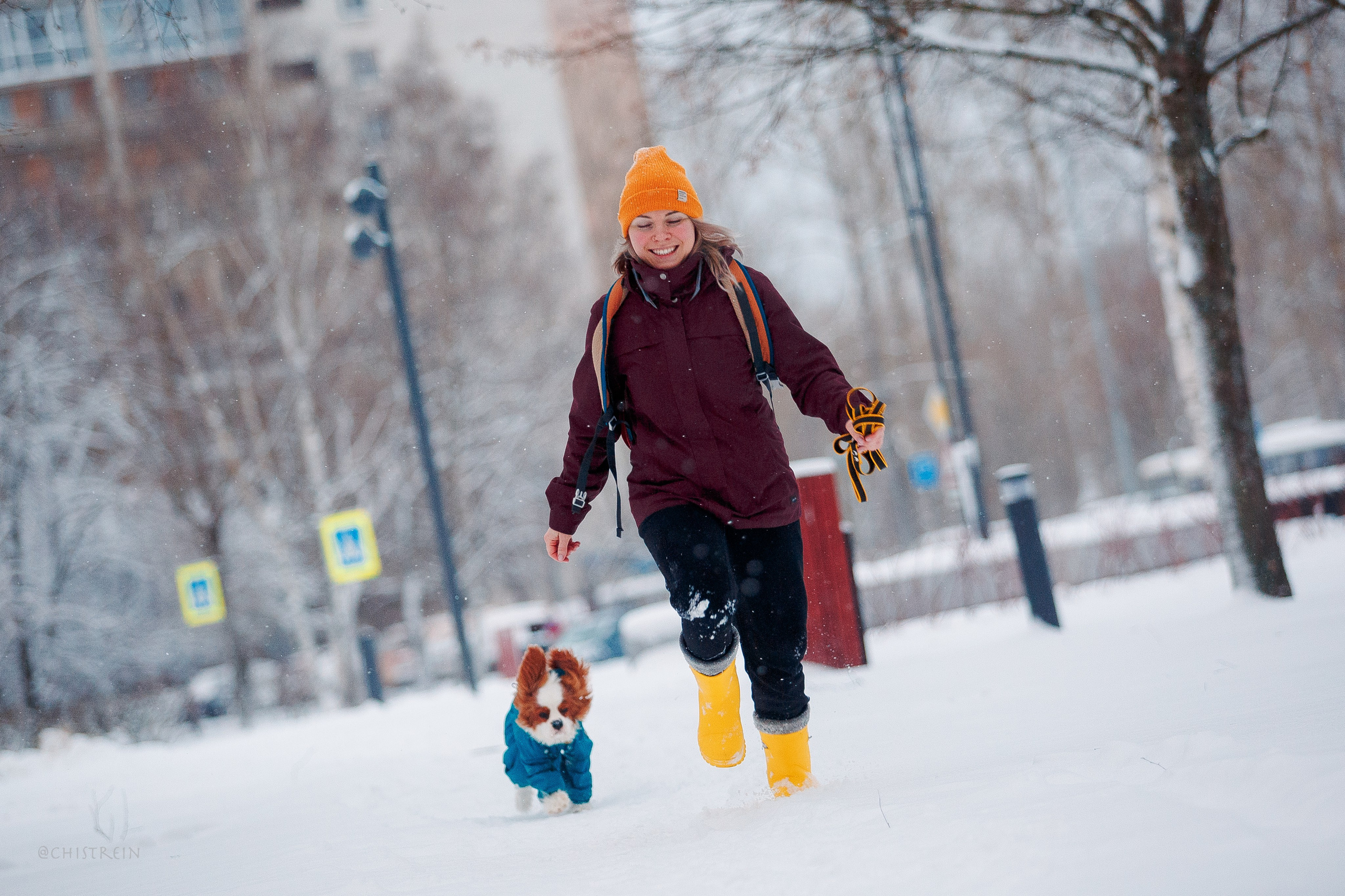 Внезапно апрельская зима. Фотограф-анималист Наталия Чистюхина в г. Сосновый Бор и ЛО