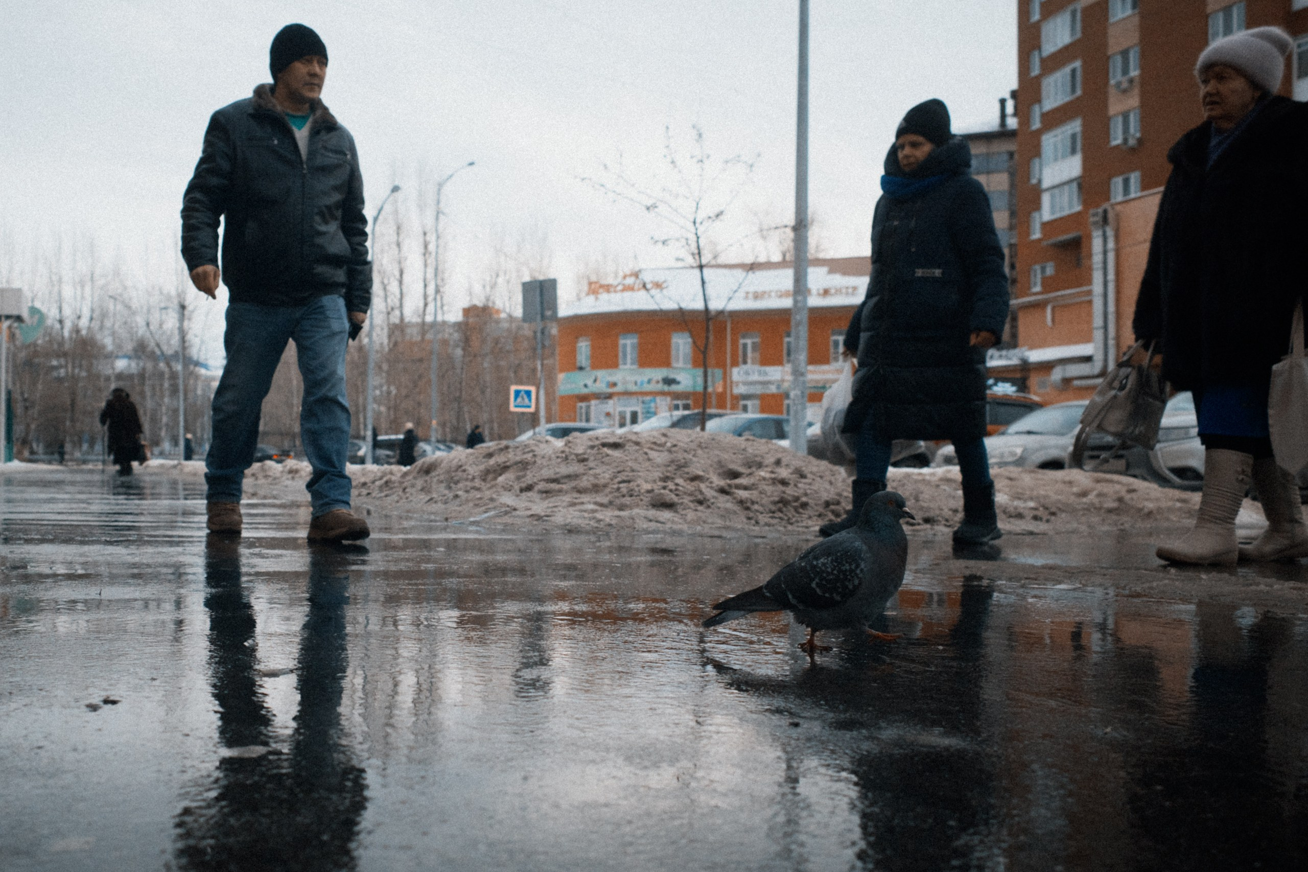 Местный (03.02)