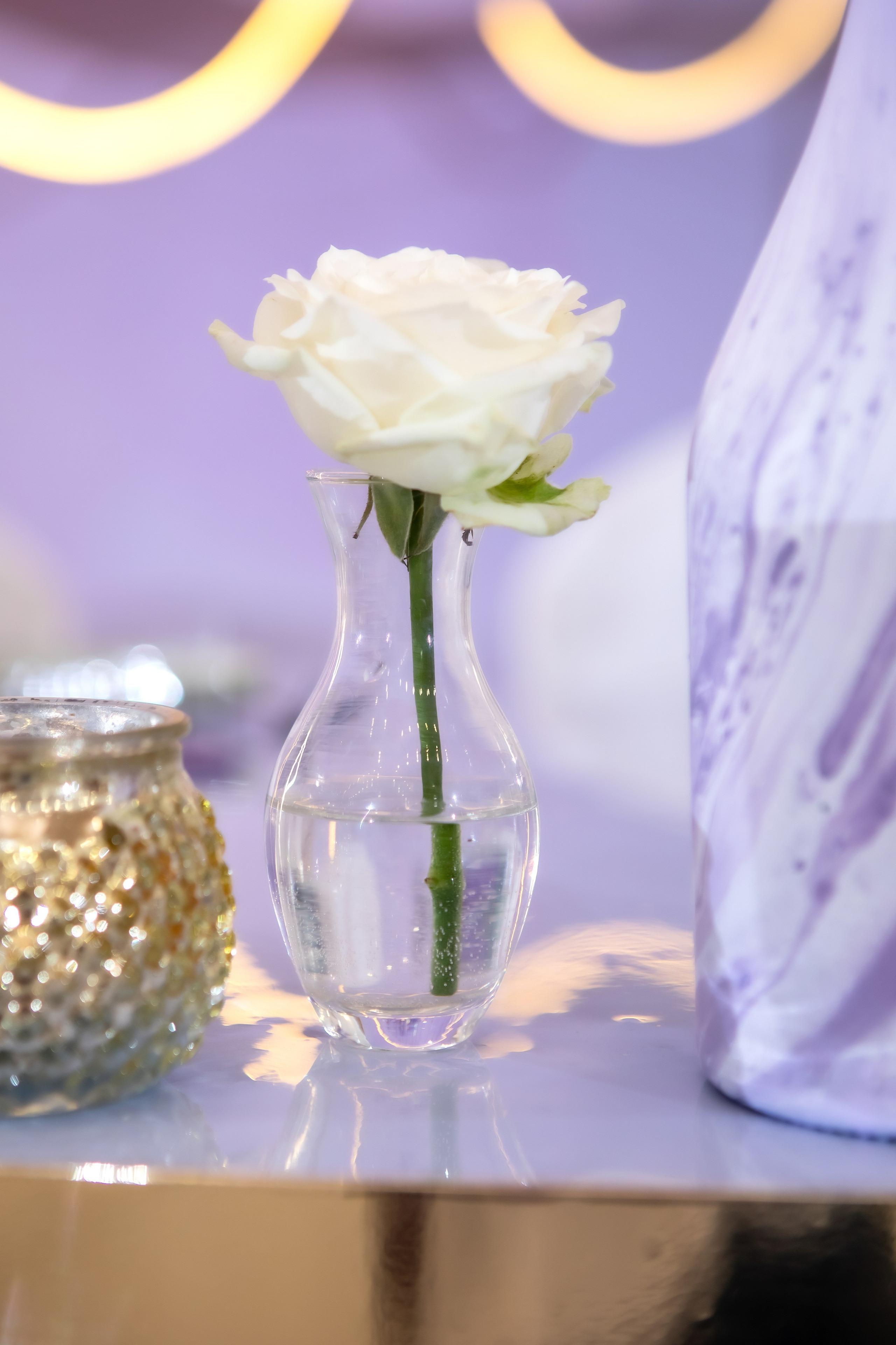 Дмитрий и Елена. Главная