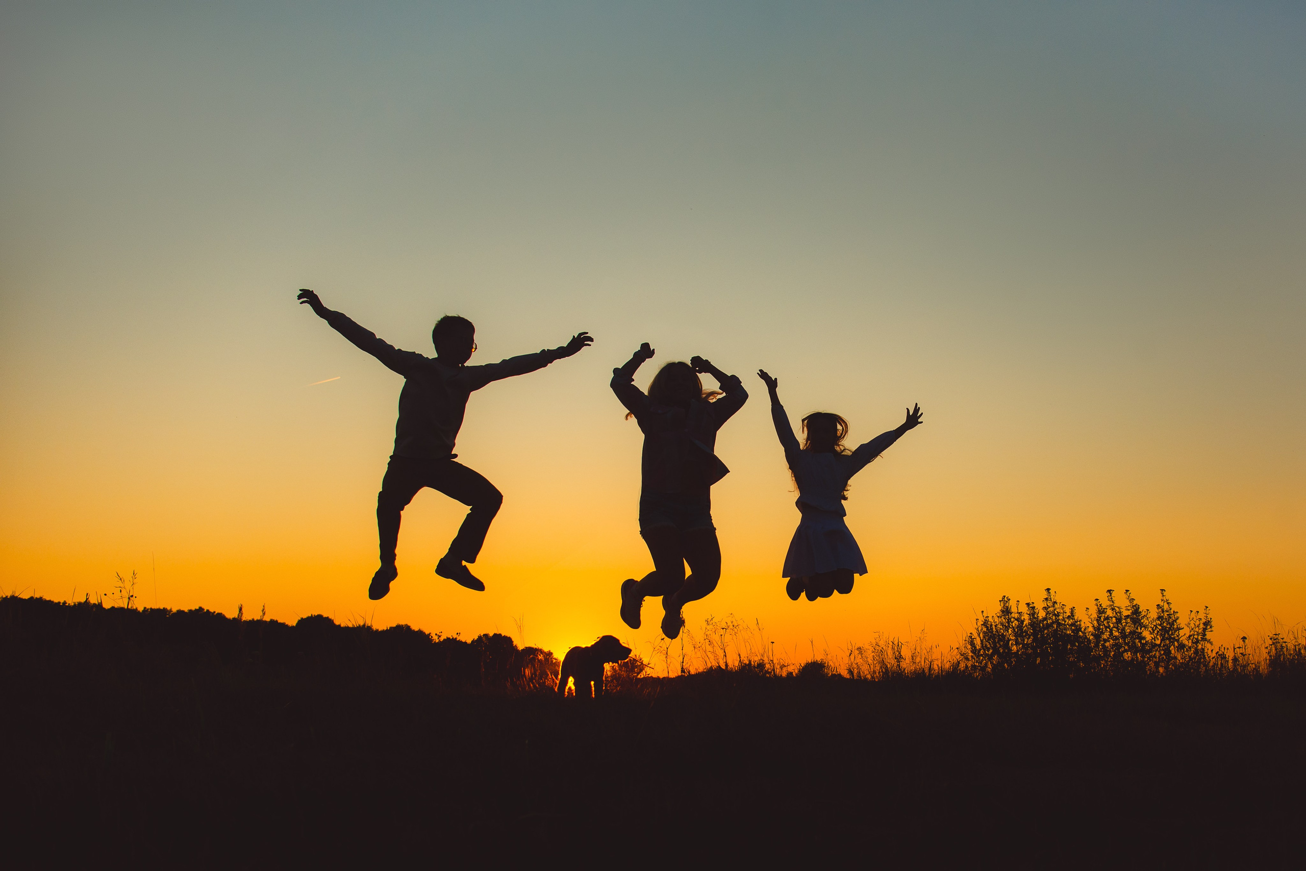 Наташа, Агата, Назар и Август — 17.07.2025. Фотограф — Анималист | Анна Абрамова