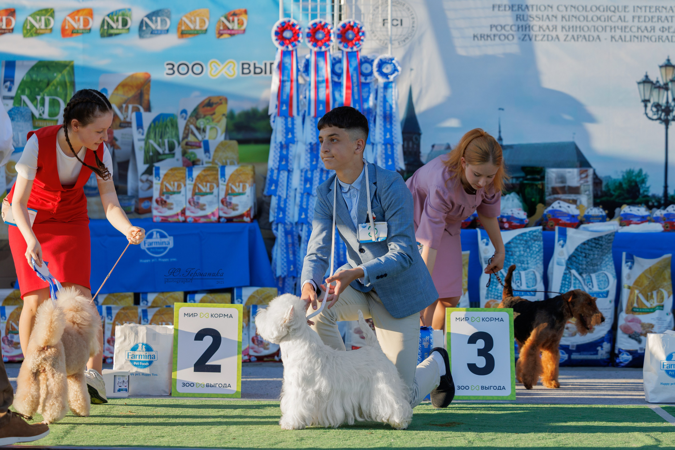 Калининград 25-27.07 Волгоград 1-3.08 2025. Фотограф-анималист Юлия Германика