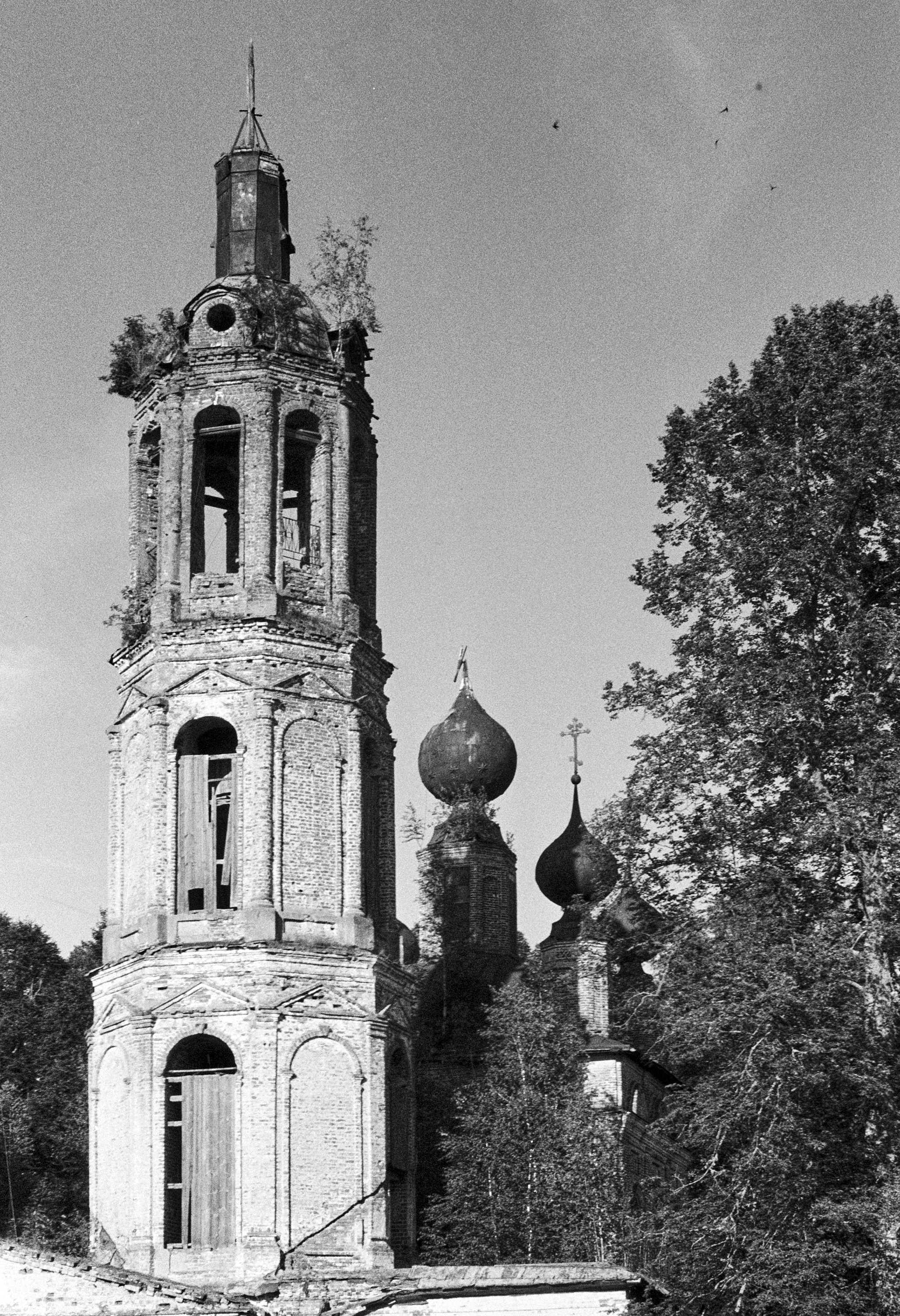 Пленочная фотография в Москве