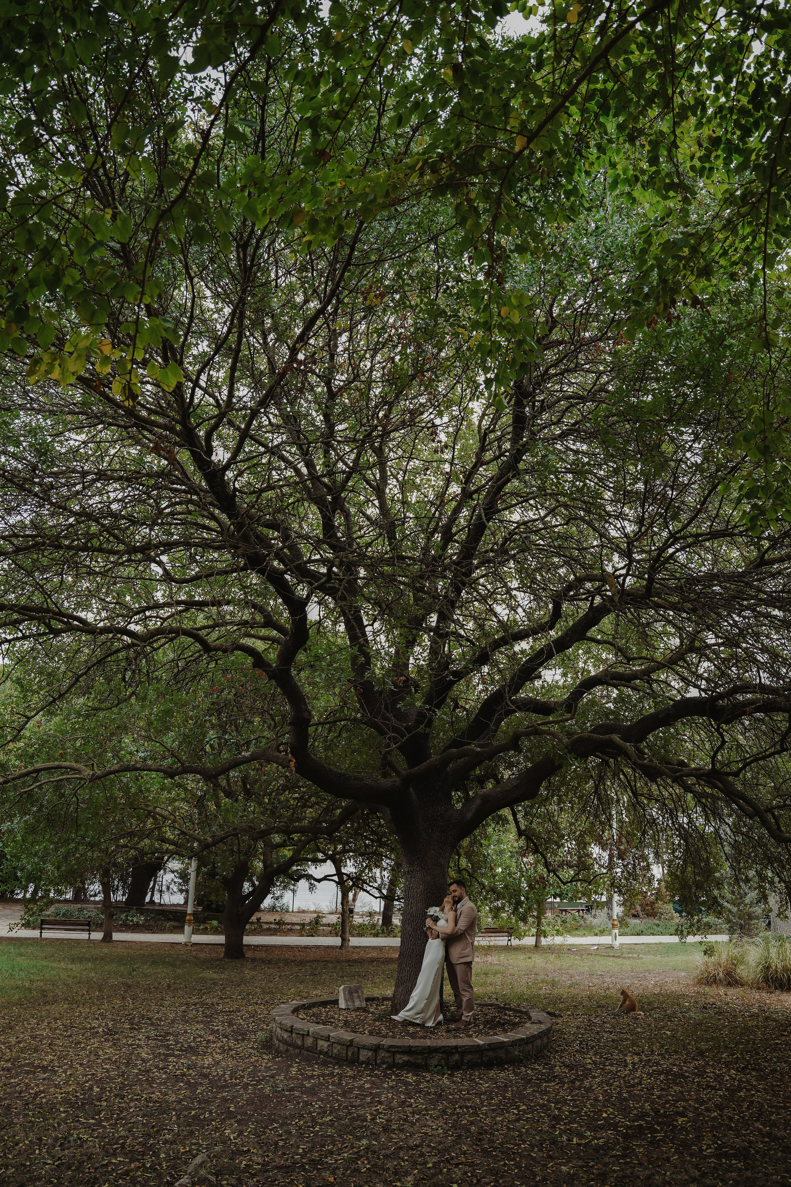 Свадебная прогулка