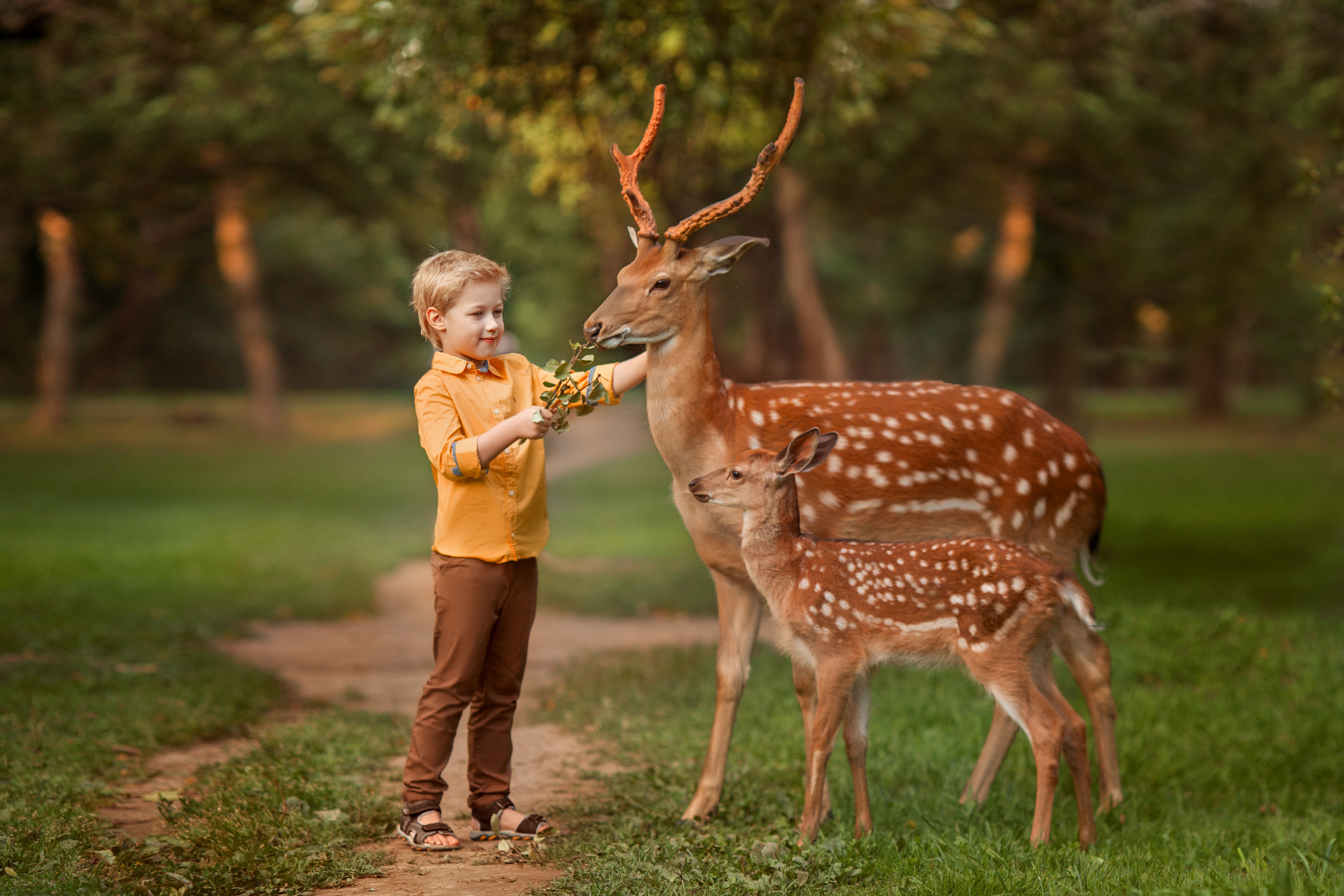Детский и семейный фотограф Александра Грекова