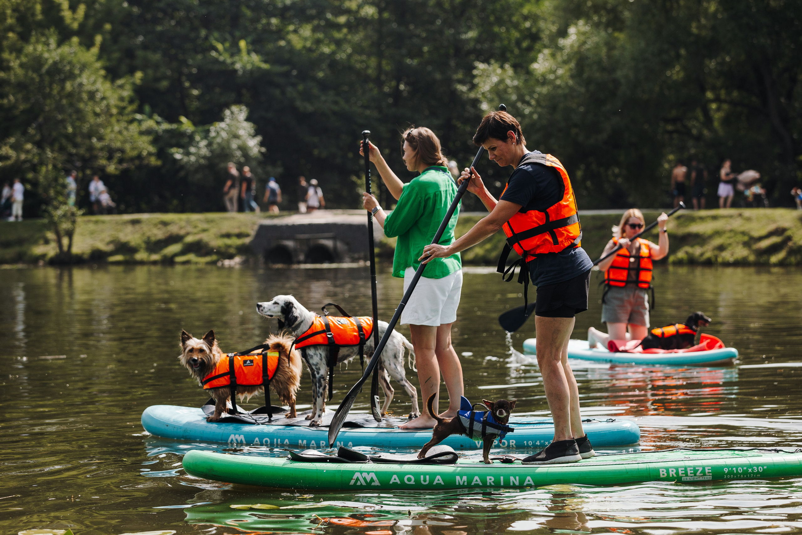 Petshop Sup day. Фотограф анималист Кристина Карпова, Москва