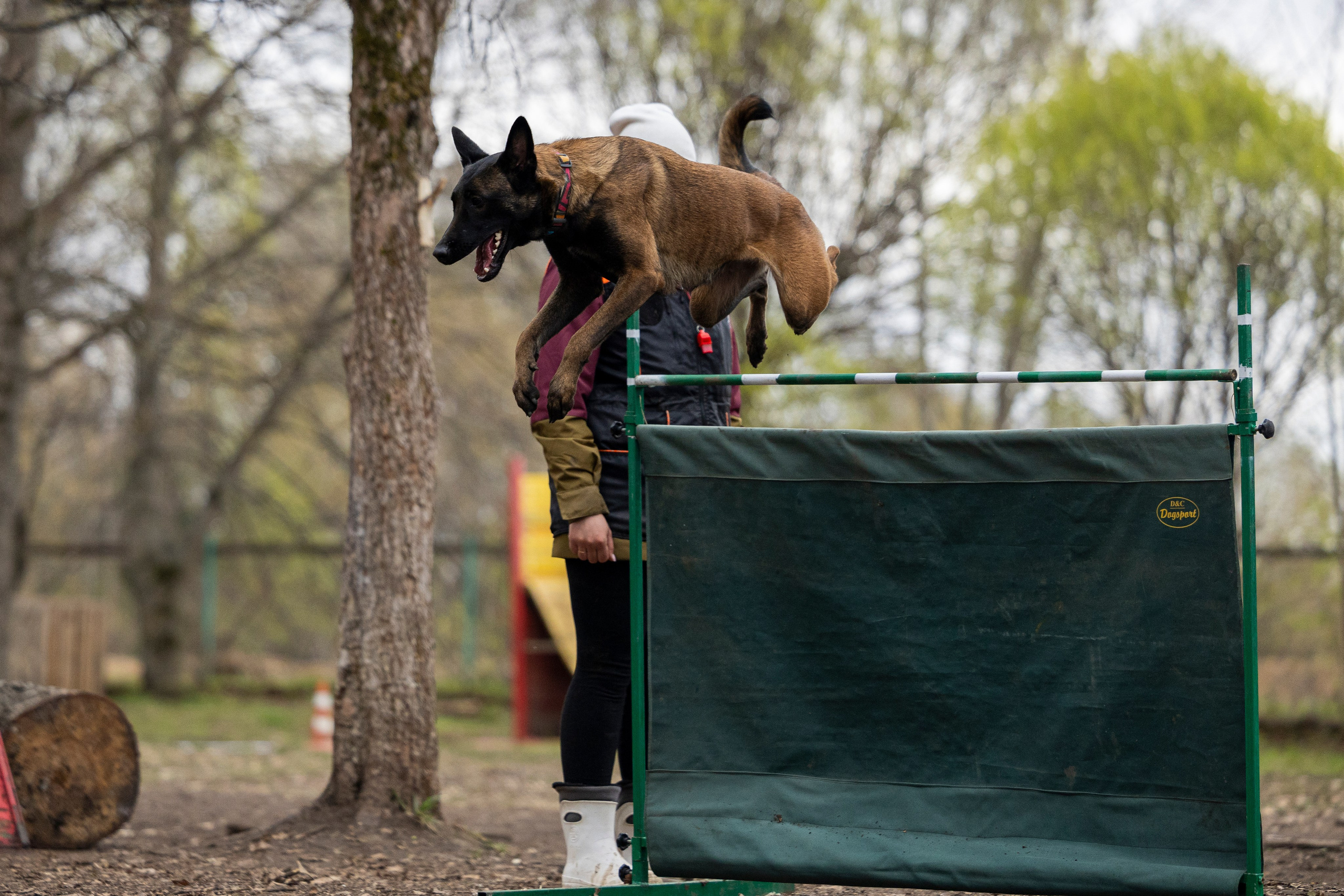 Квалификационные состязания по мондьорингу г. Вологда 11.05.24. Фотограф-анималист Анна Маринич