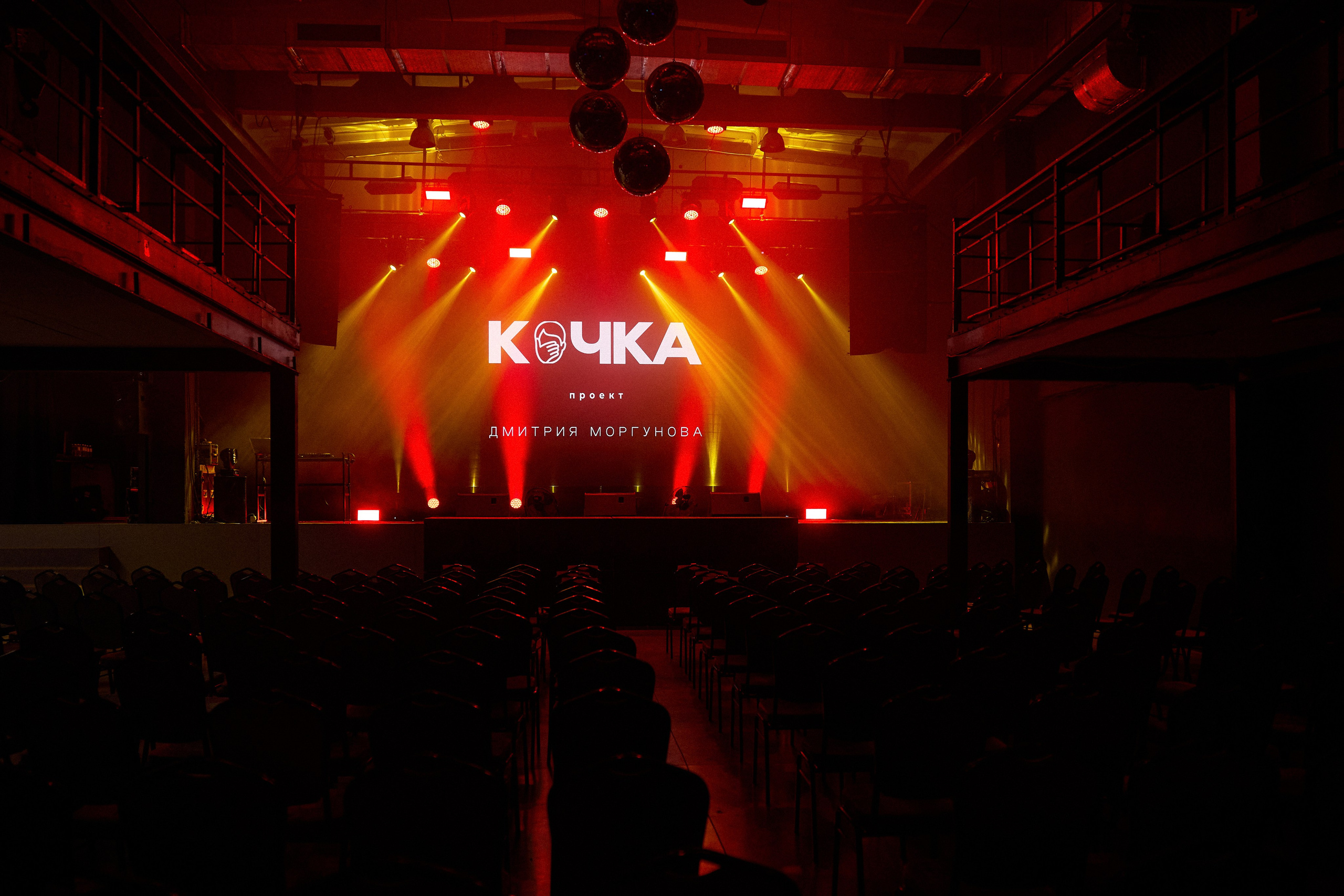 КОЧКА. Фотограф Айвазова Наталья Краснодар