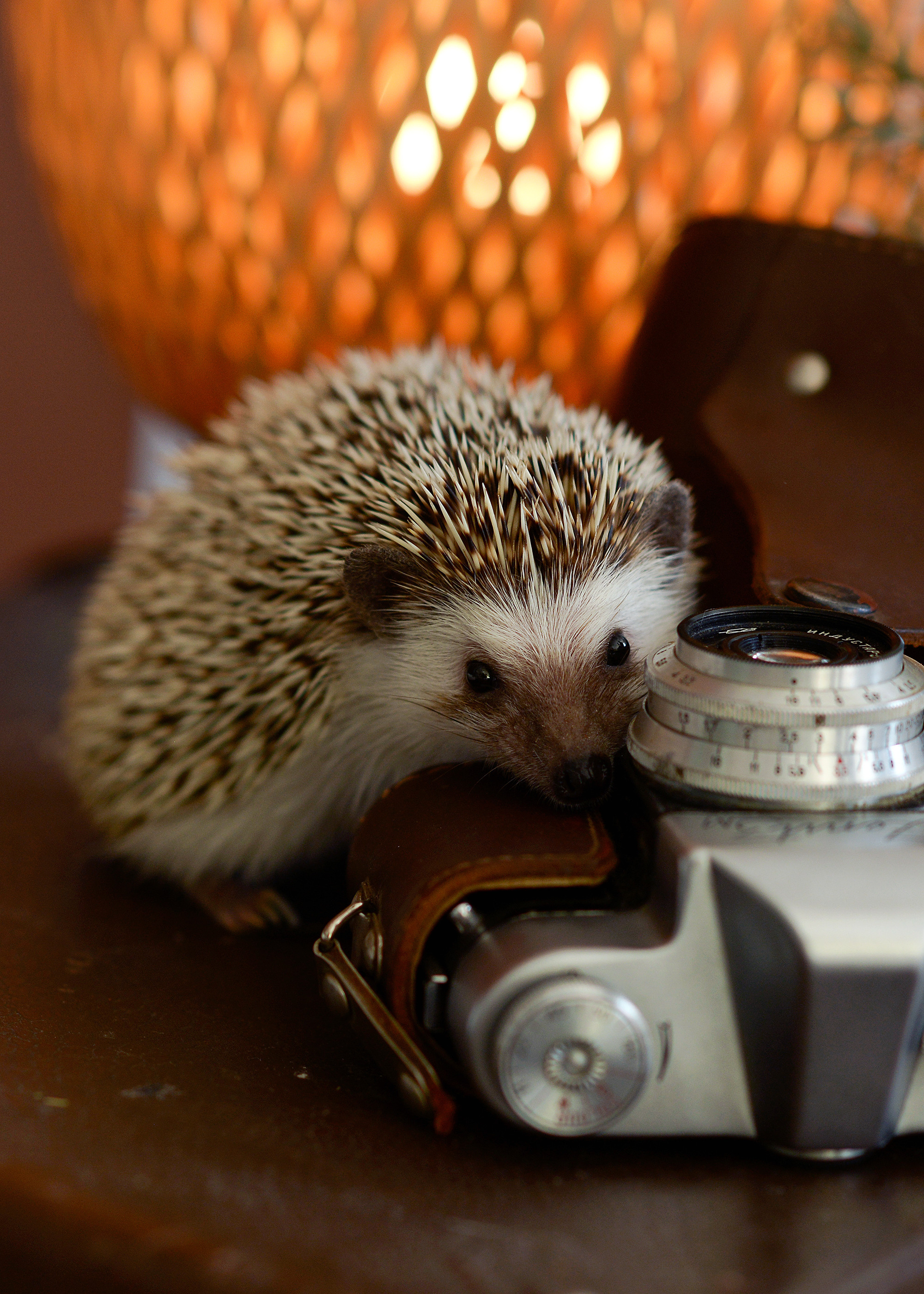 Пасхальная съемка. Фотограф Альбина Вакунова