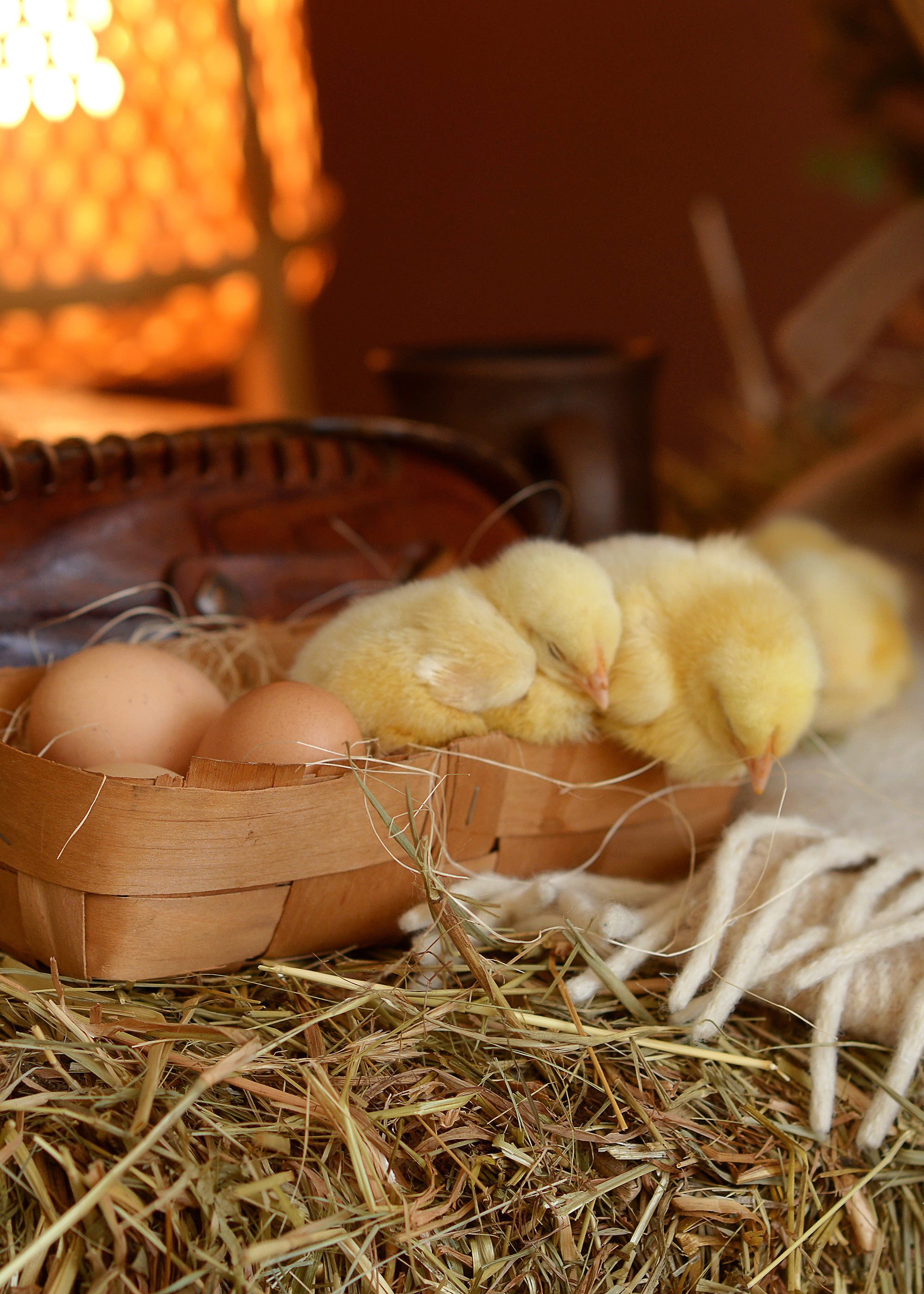 Пасхальная съемка. Фотограф Альбина Вакунова