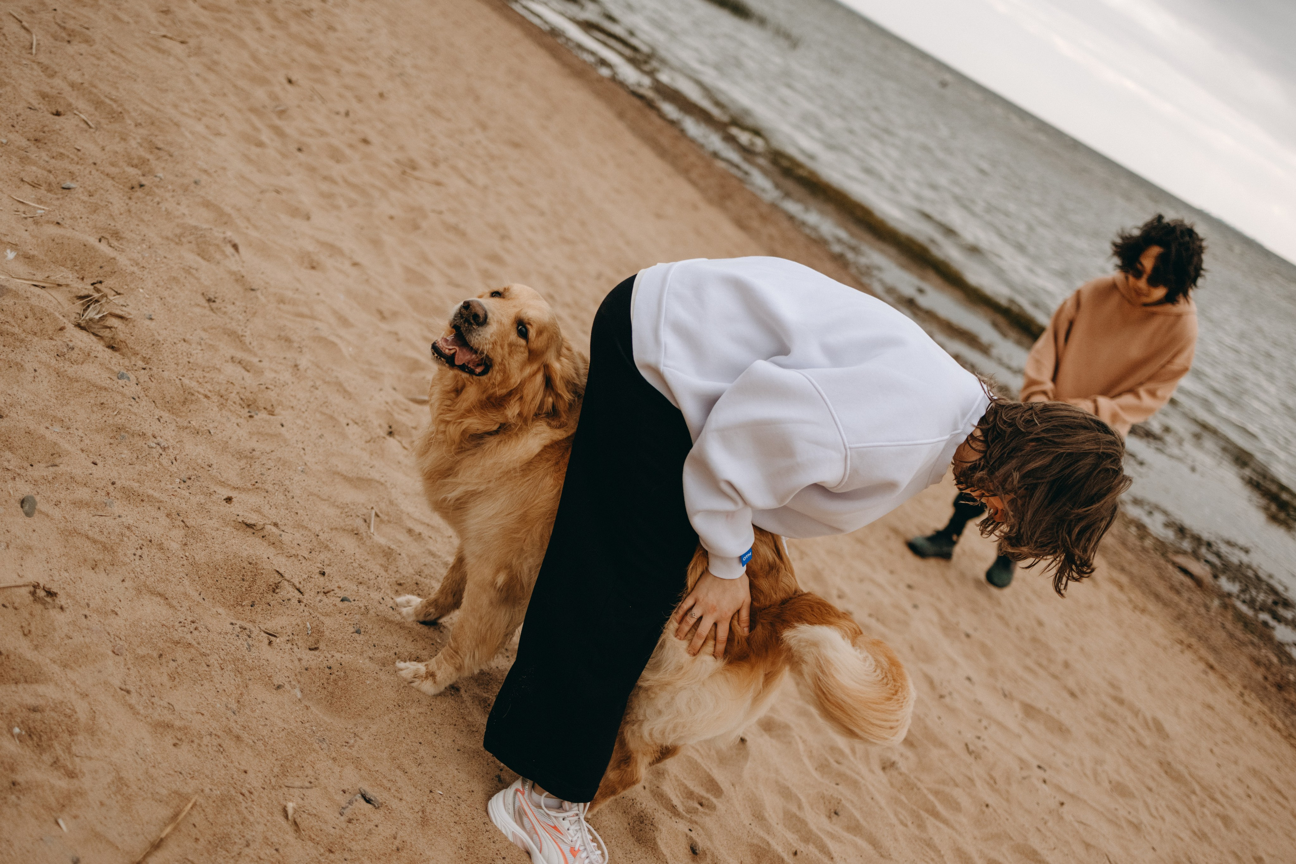 Фоси и его семьи. Фотограф — Анималист | Санкт-Петербург