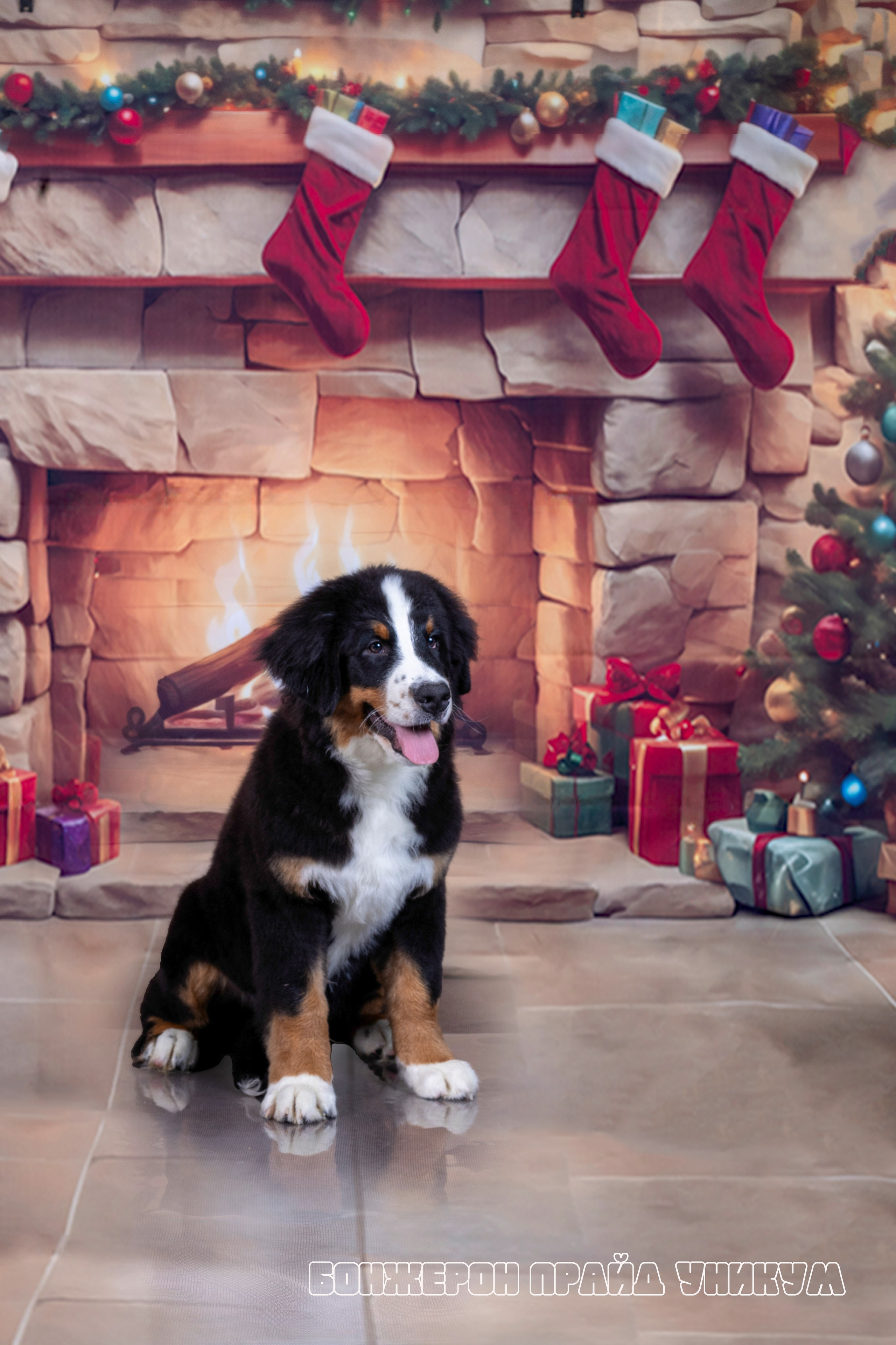 Бонжерон прайд. Фотограф 📸 семейный, предметный, репортажный