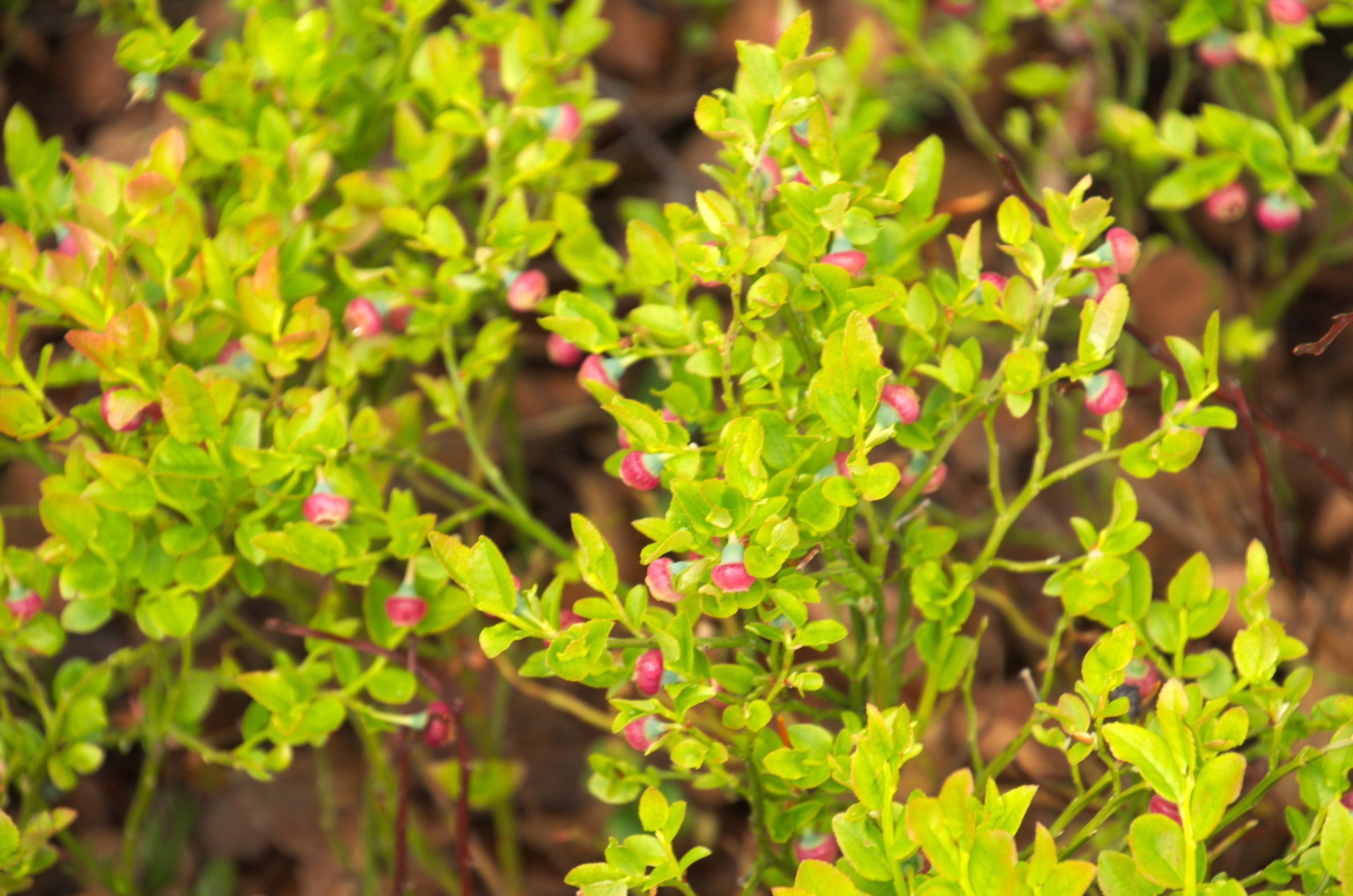 Мурманск | 22-23.06.2019. Галерея Фантим