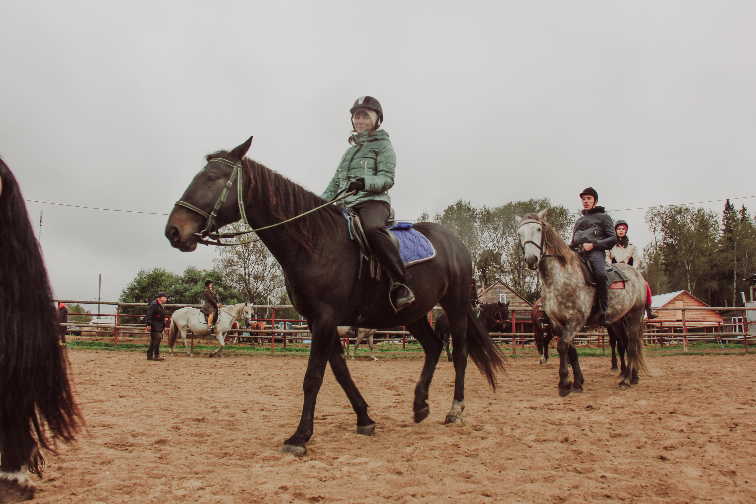Лошадинг | 27.09.2025. Галерея Фантим