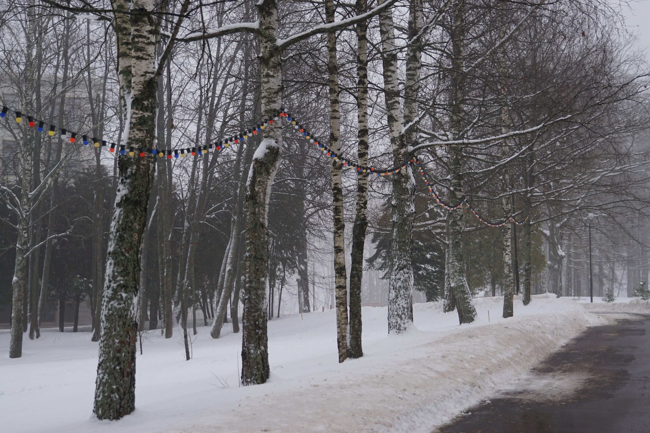 Шашлыки с ночевкой. Софрино | 23-24.01.2021. Галерея Фантим