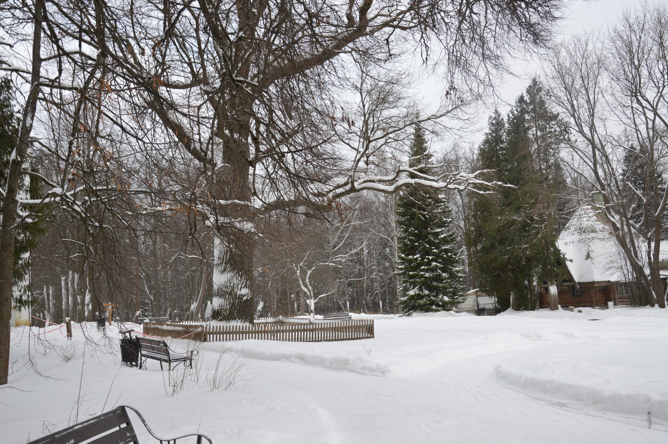 Сергиев Посад | 11.12.2016. Галерея Фантим