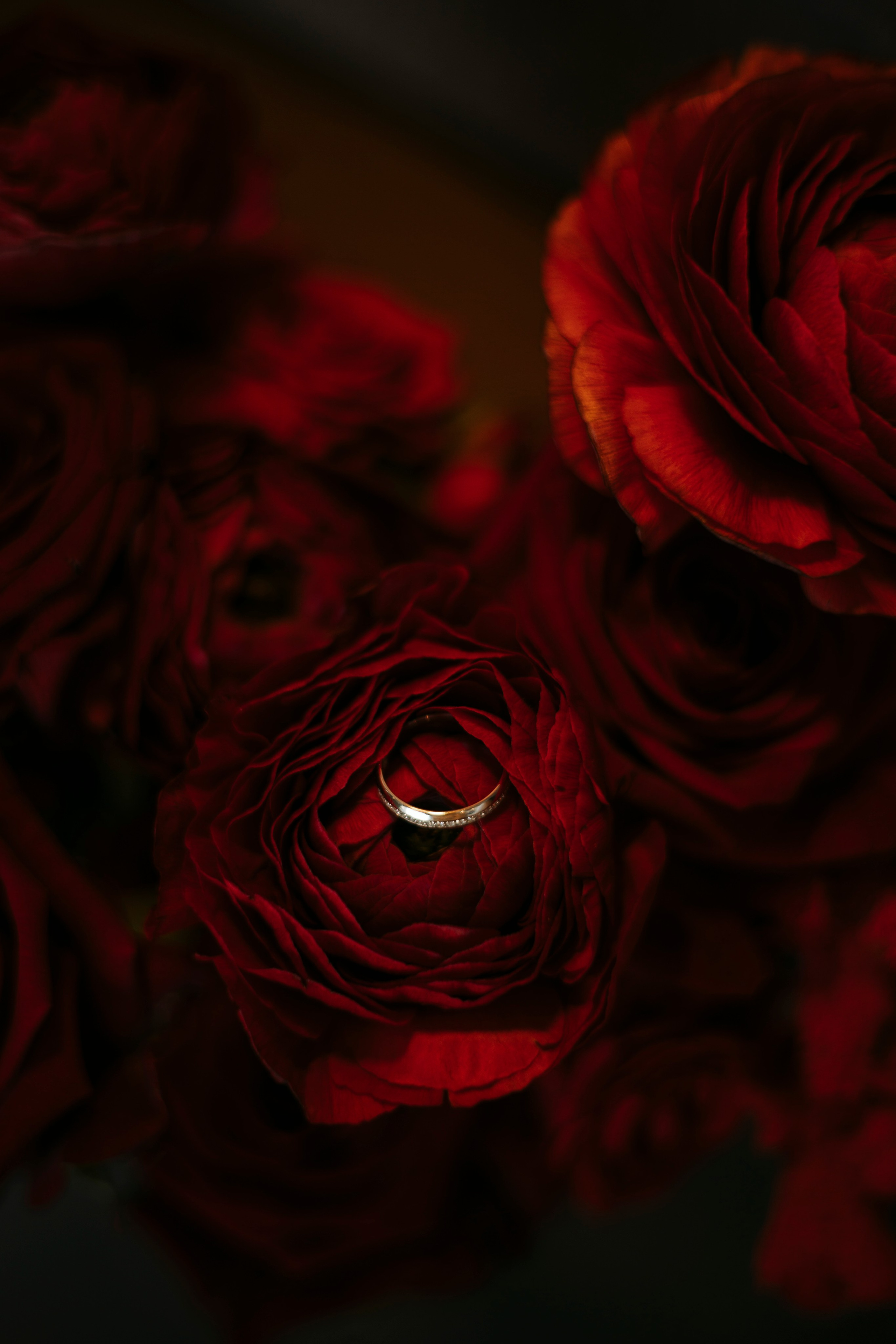 Сергей и Татьяна. Nikolpinhasova