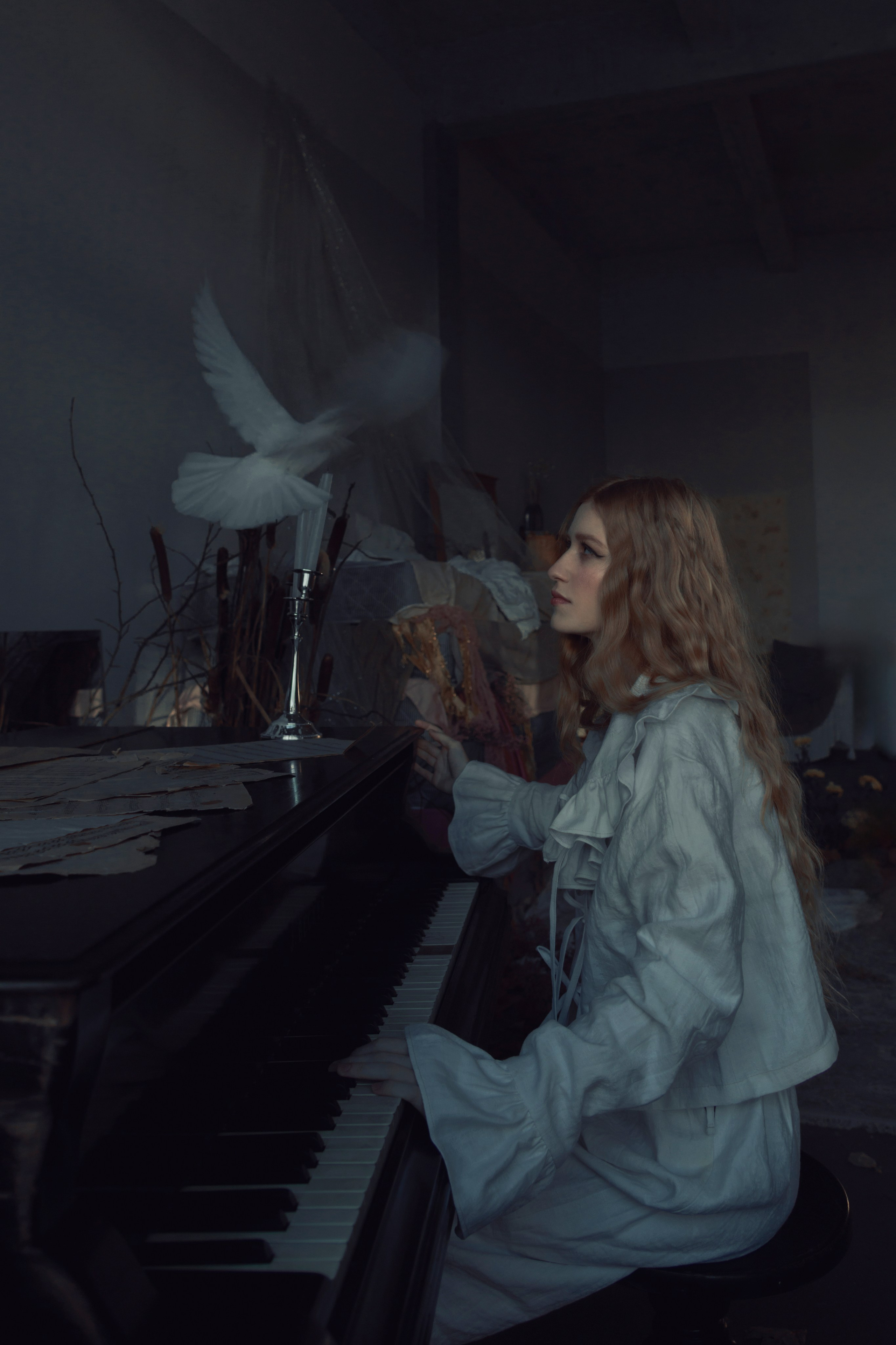 Голубь. Фотограф Anita Mivchas