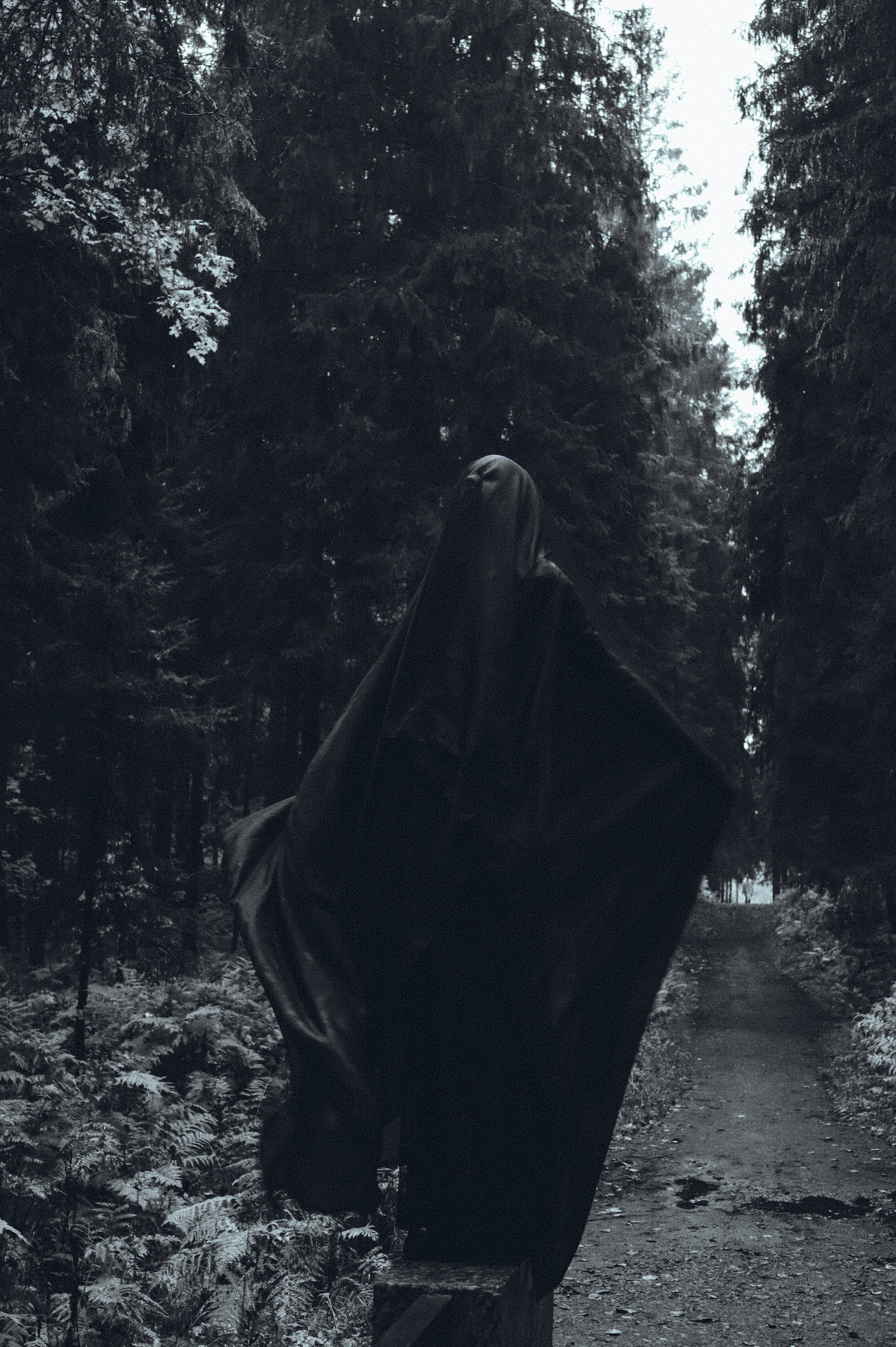 Вдохновление утренним туманом. Ваагн Малхасян | Фотограф | Санкт-Петербург. Создаю атмосферные кадры