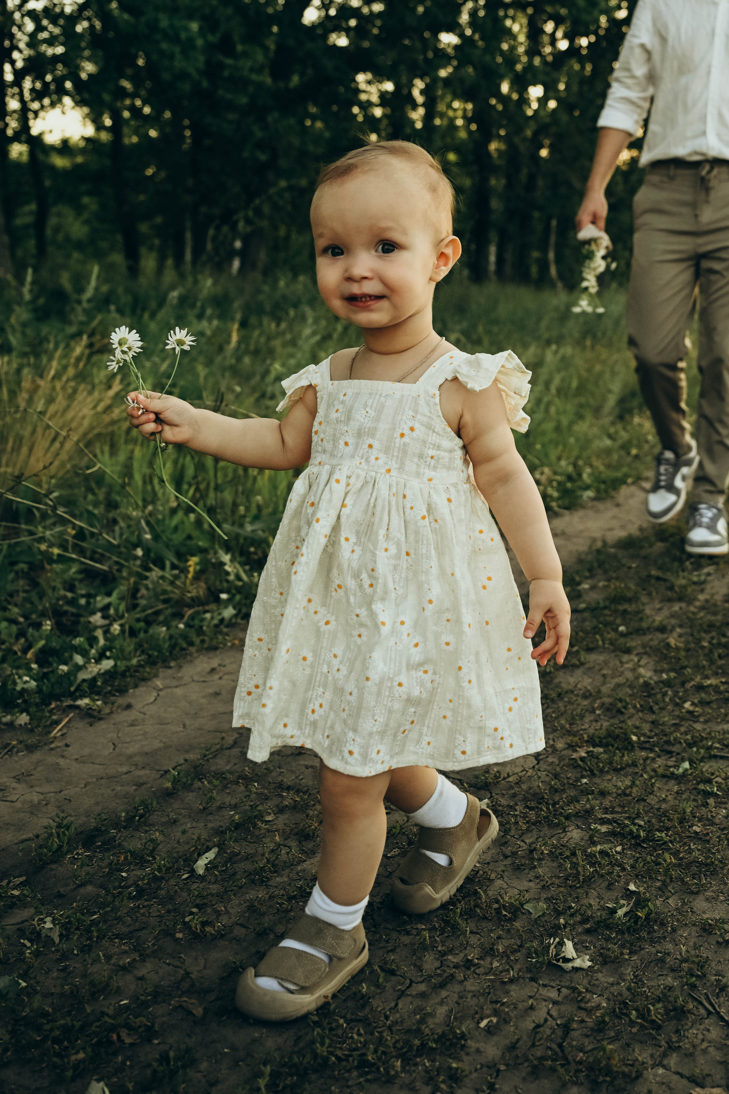 Ромашковое поле. Семейный фотограф в Москве Люберцах Ирина Вронская