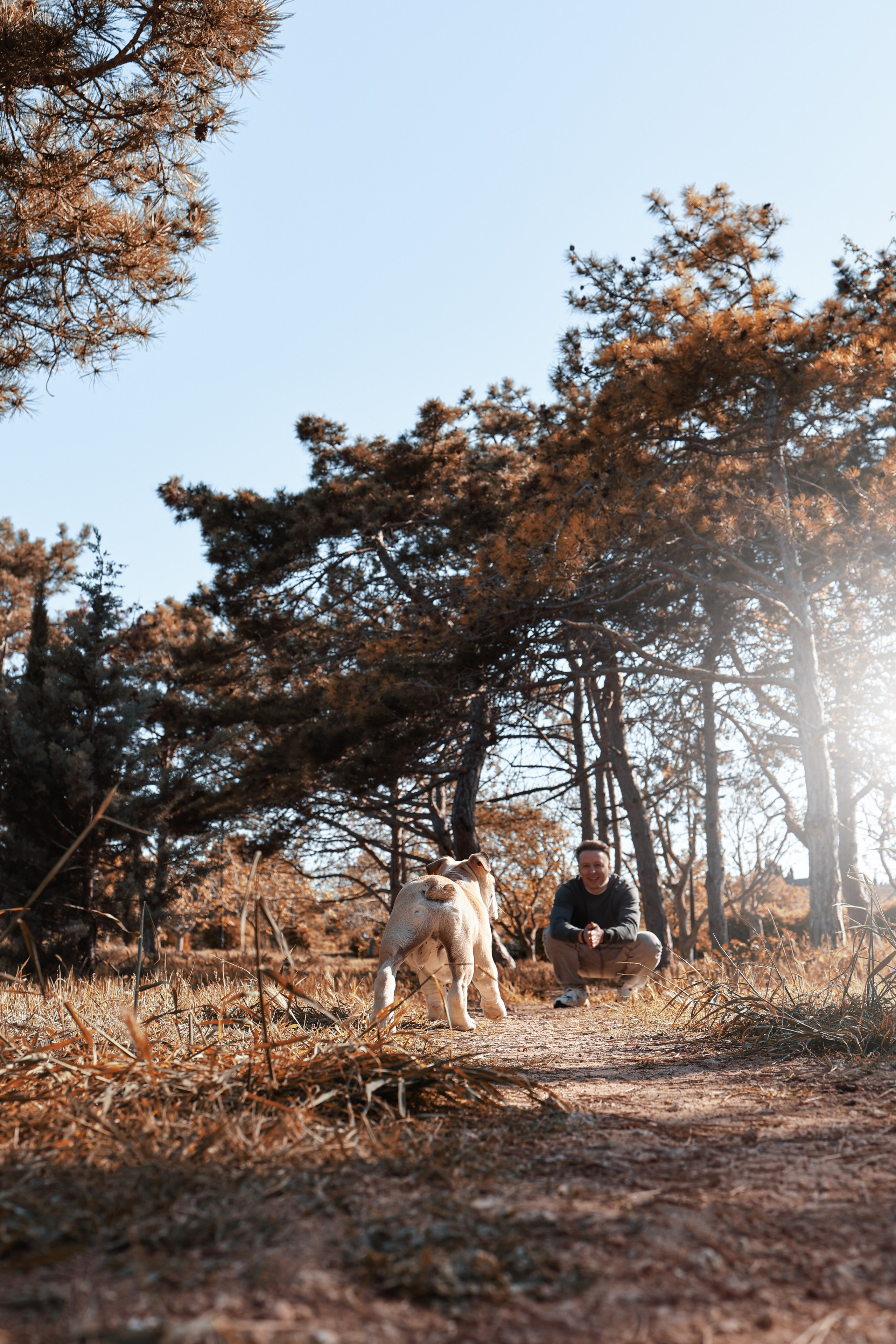 Новый член семьи. Withlovent | Фотограф в Севастополе