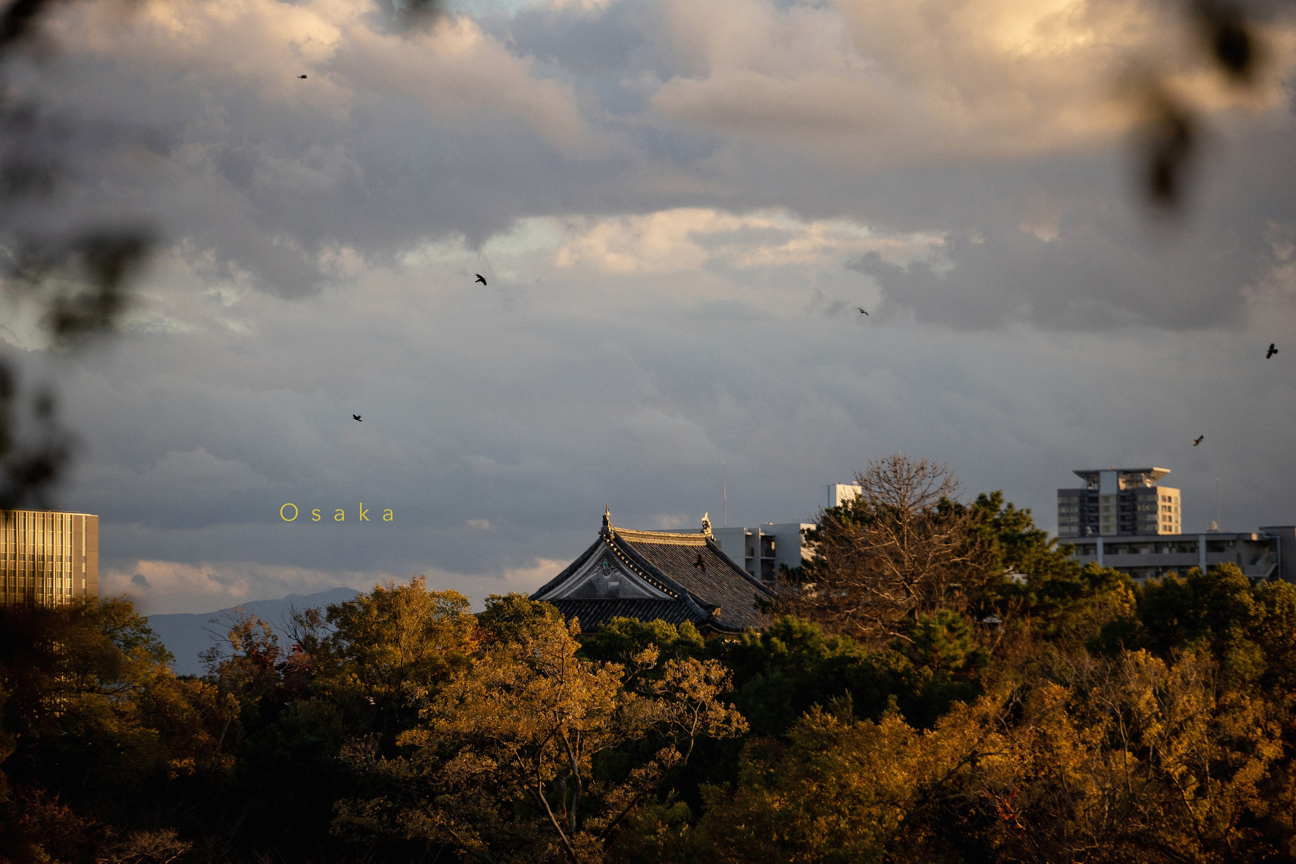 Япония. Главная