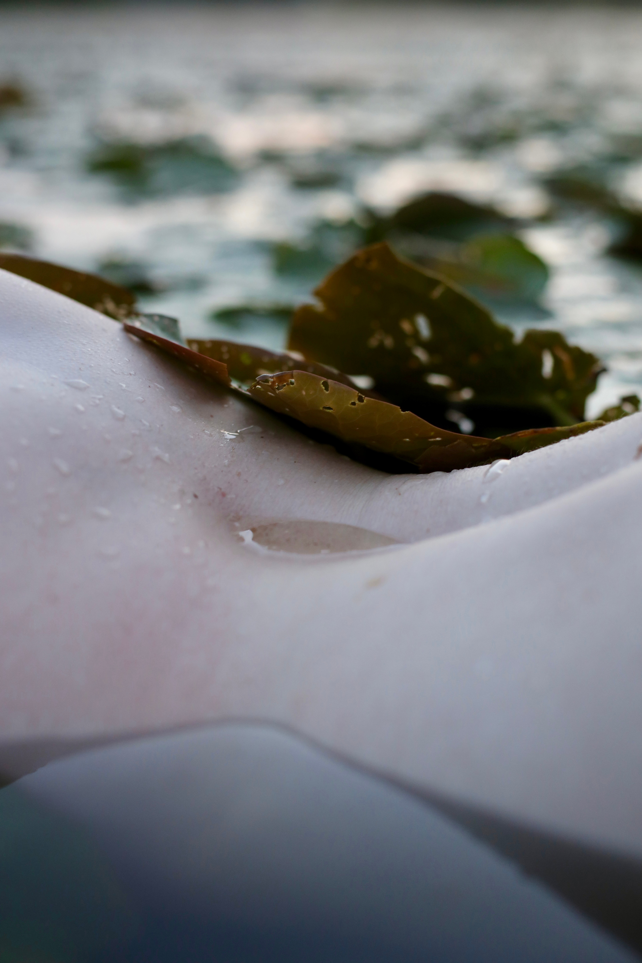 Color. Портретный и ню фотограф