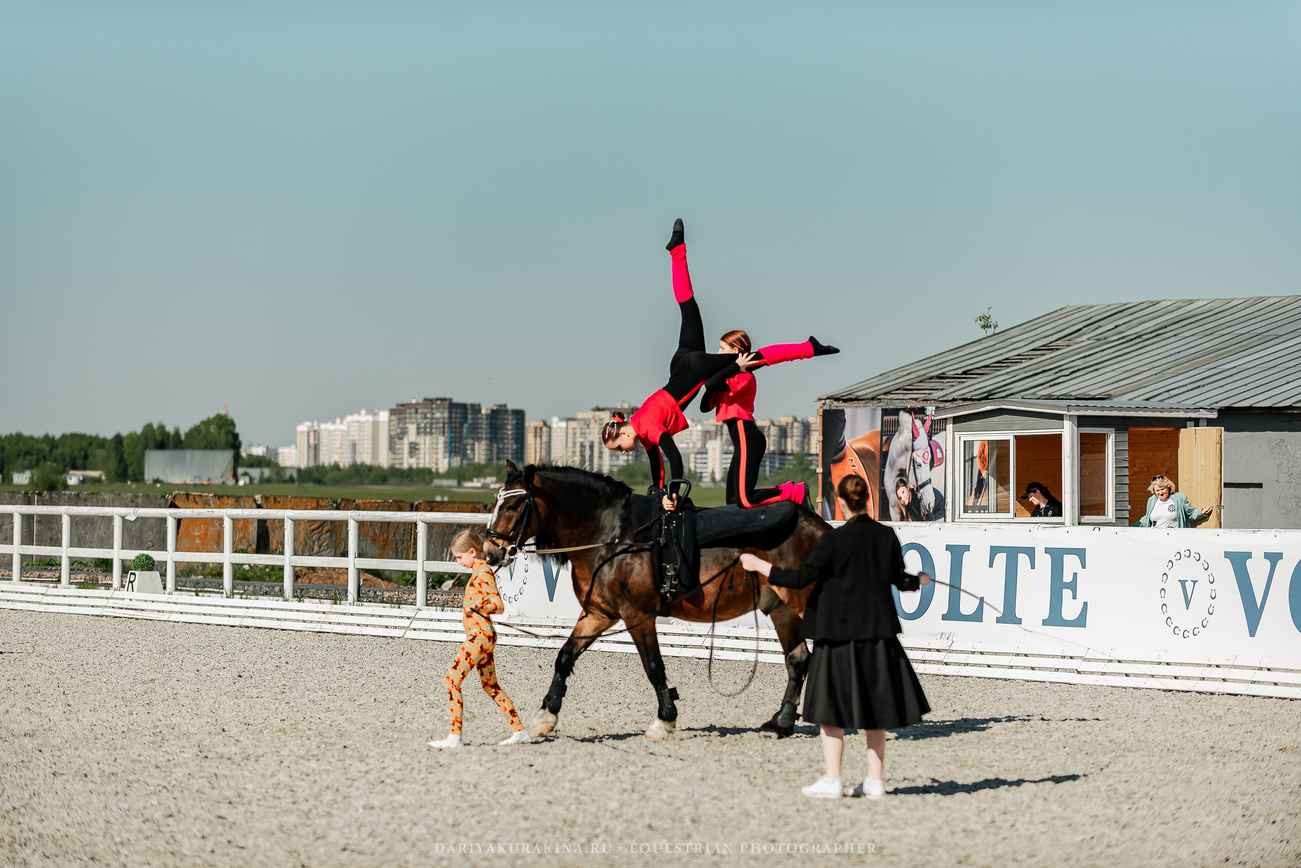 РЕПОРТАЖ МКК ВОЛЬТ «LA TULIPS». Конный фотограф Куракина Дарья • Фотосессии с лошадьми