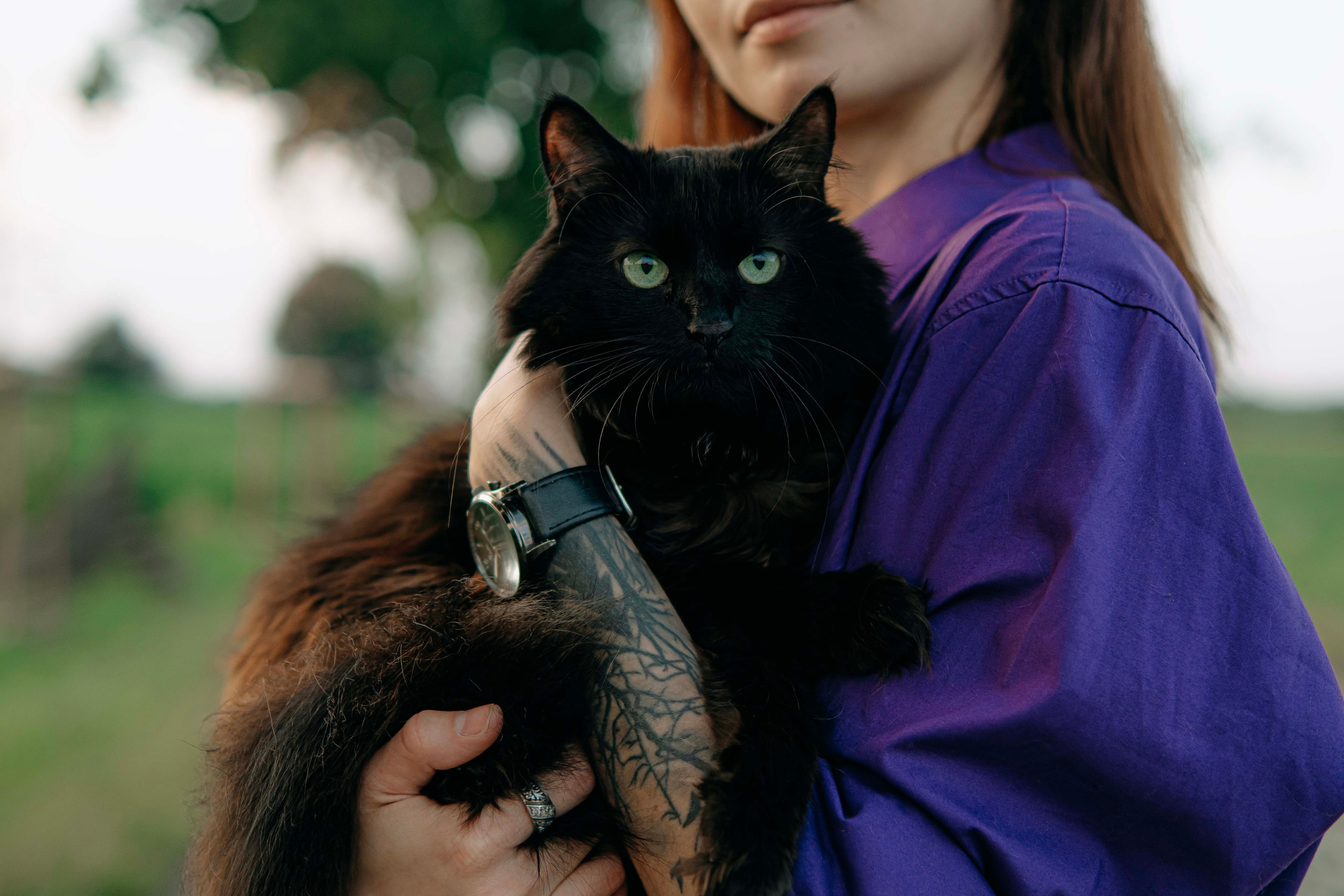 Портреты питомцев. Фотограф и видеограф в Минске Мария Войтик