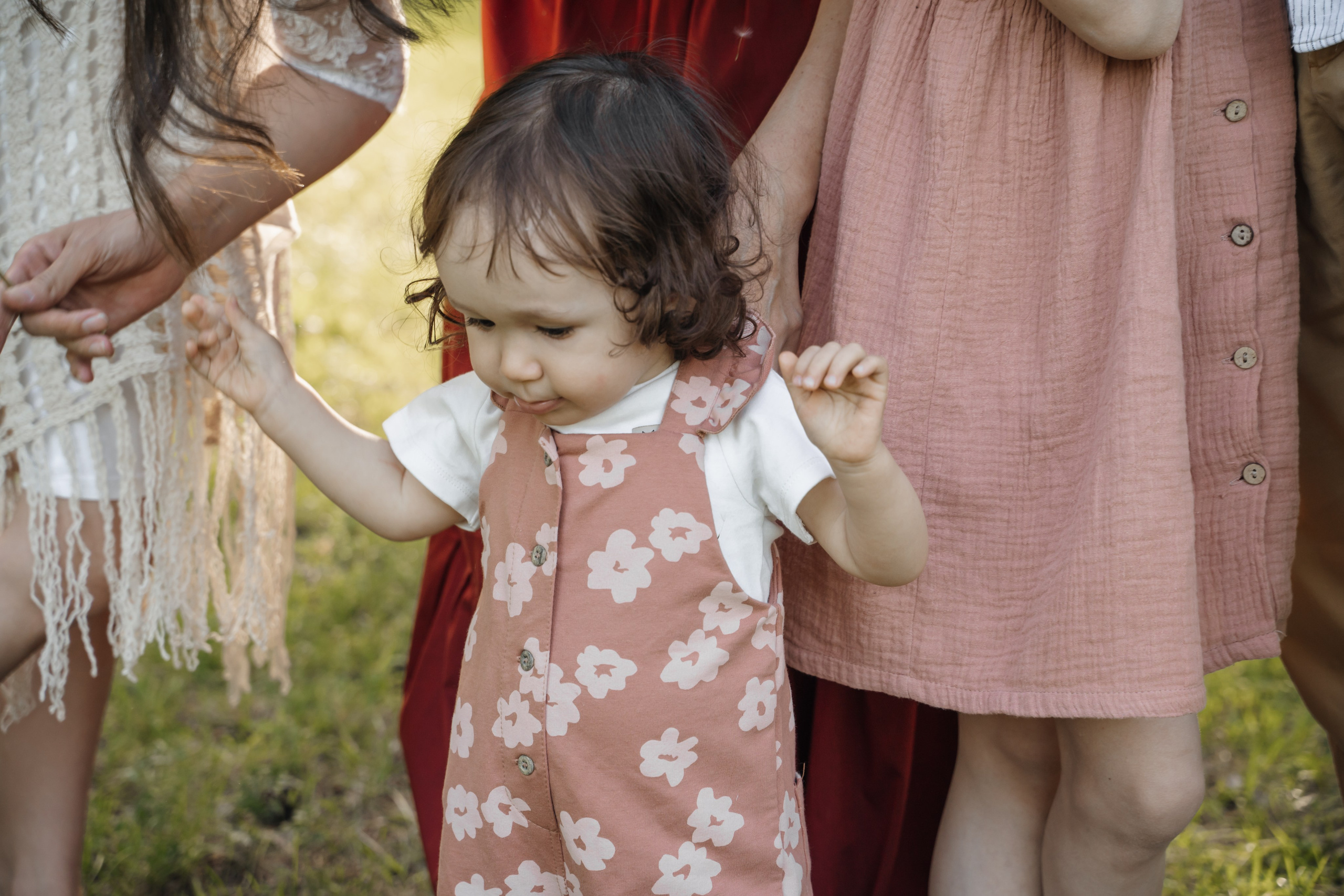 Семейная история с лошадьми. Главная