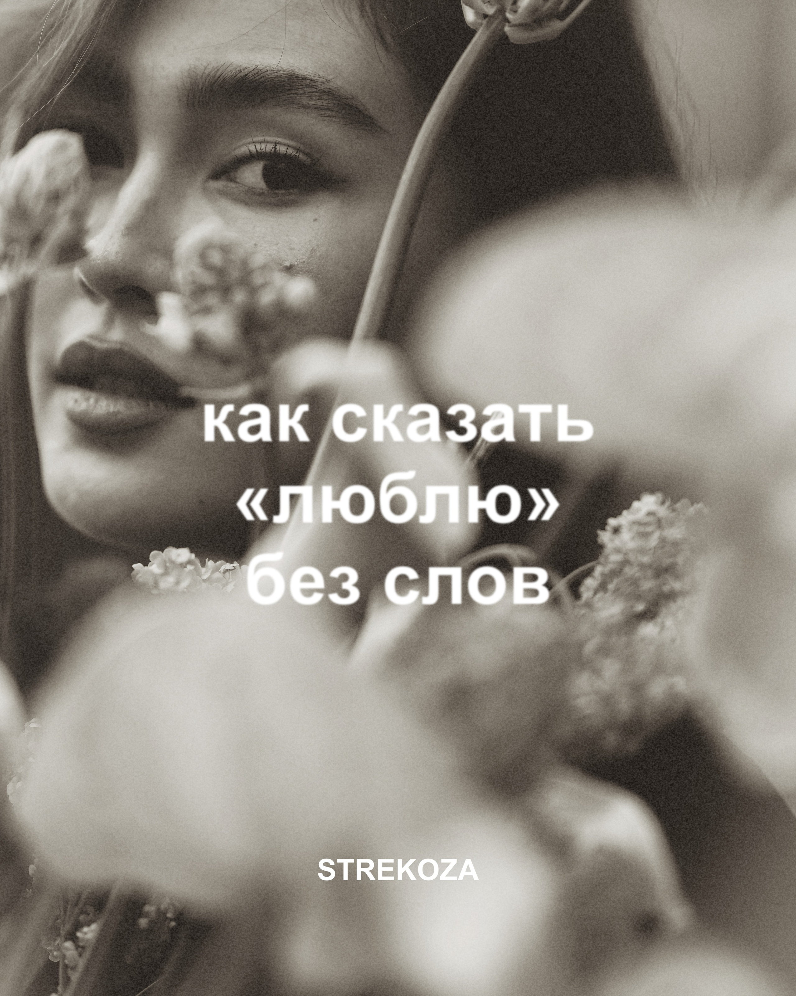 STREKOZA MAISON. Главная