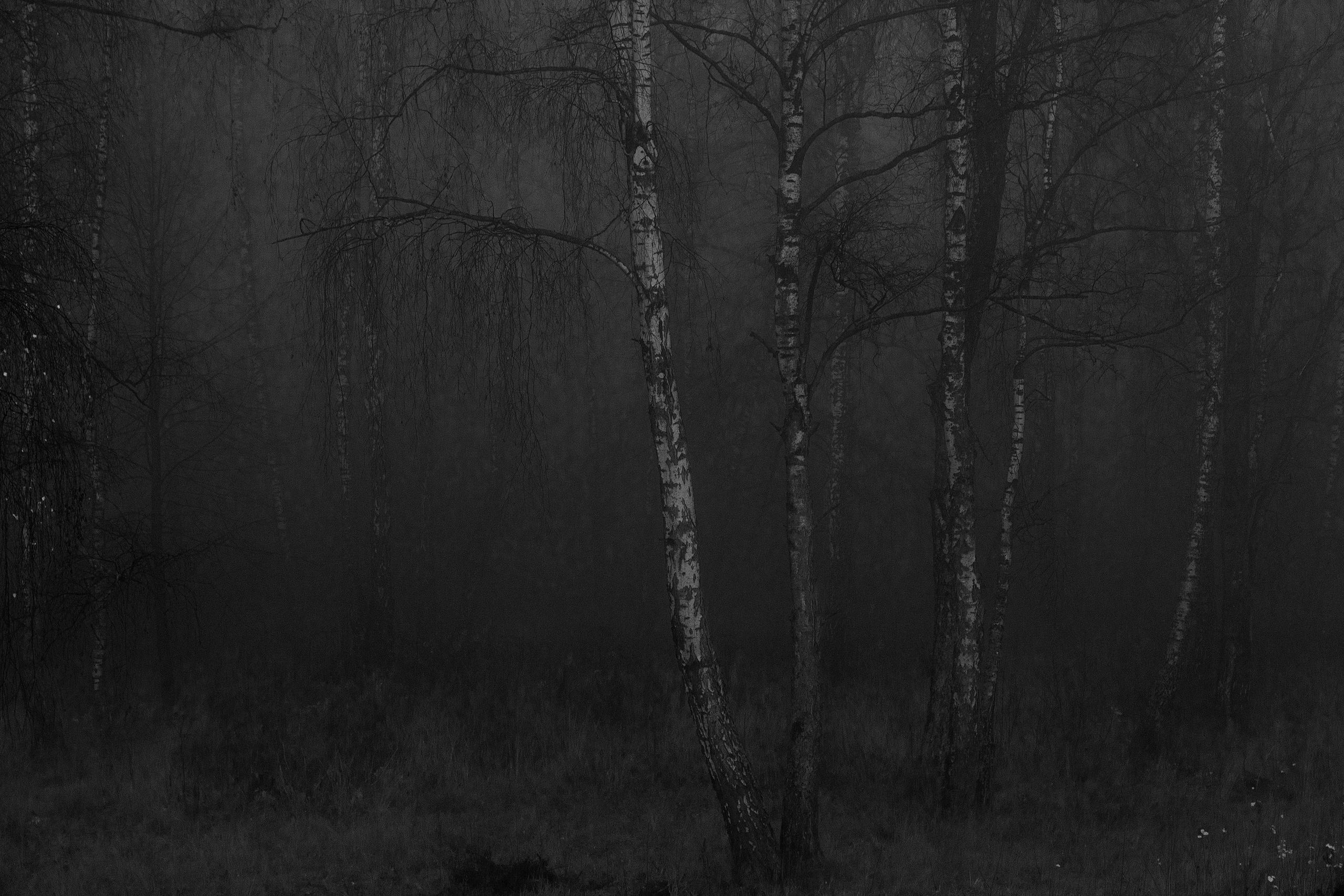 ABOUT. Art Рhotographer Russia/Moscow