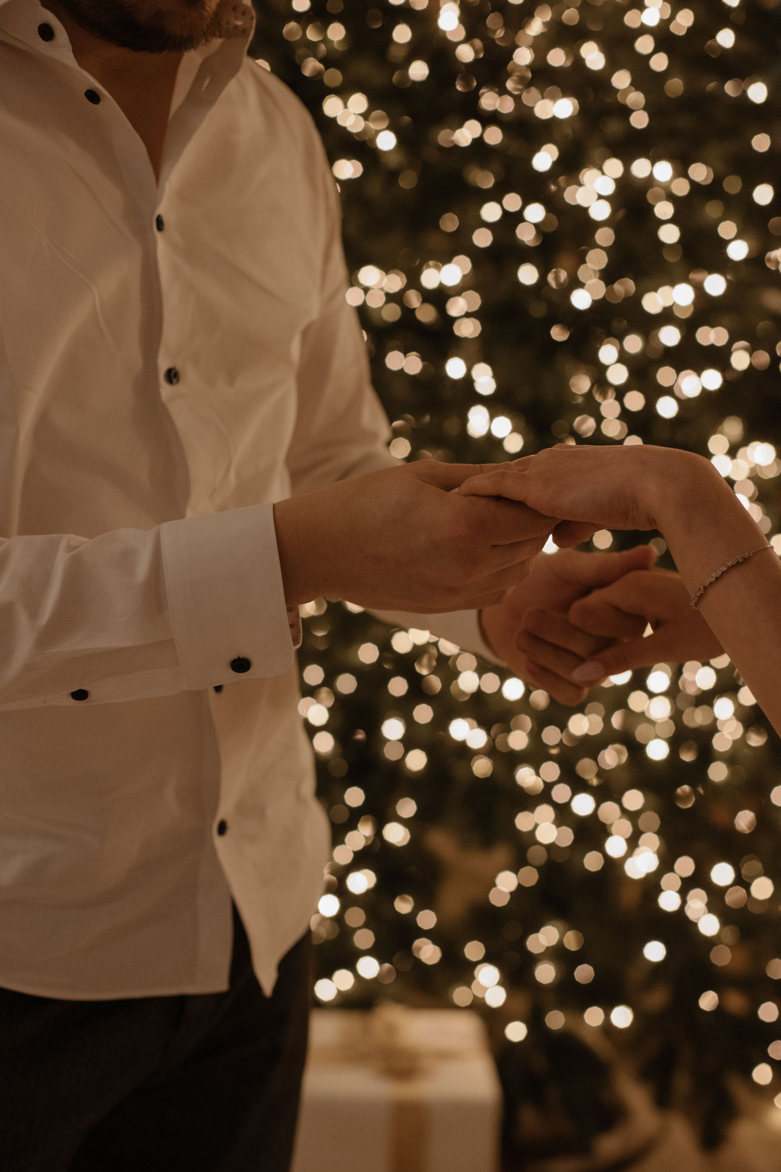 Дима и Таня. Портретный и свадебный фотограф в Москве Алина Гевал