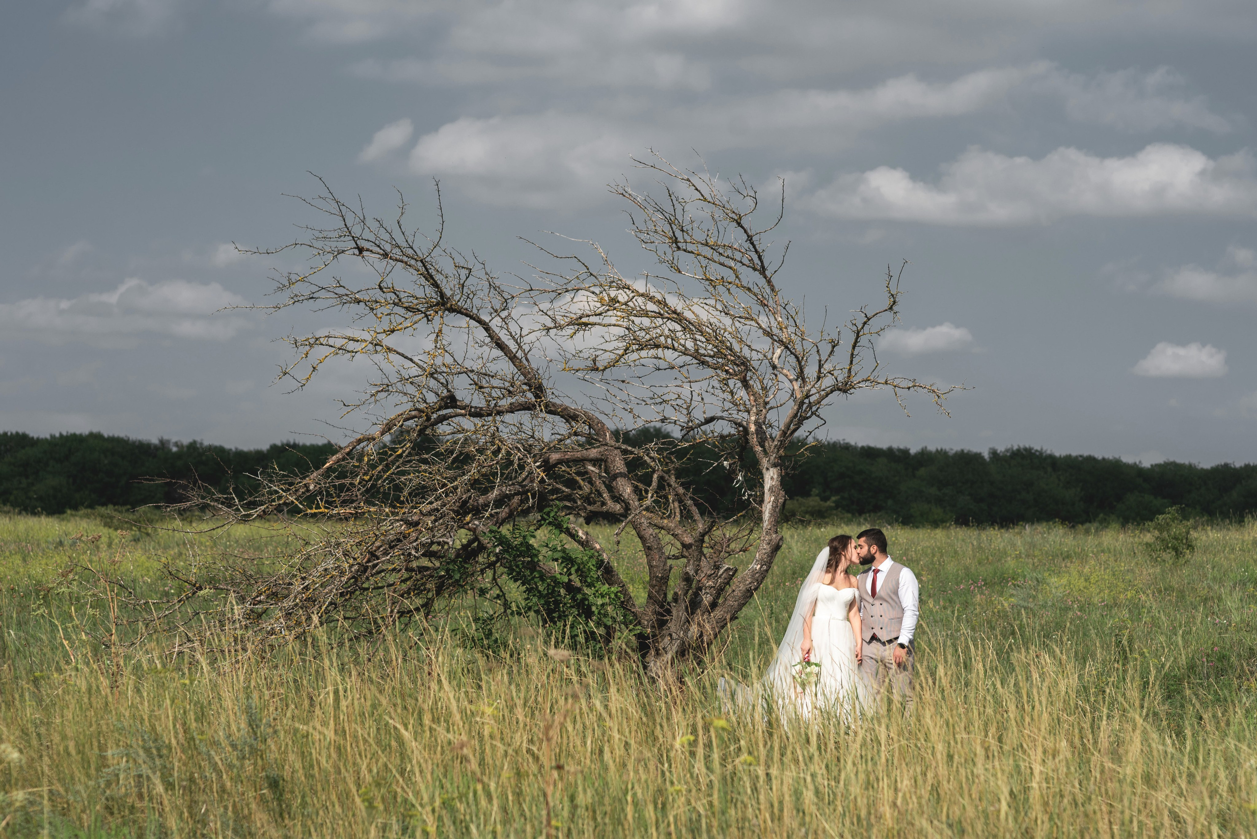 Эдгар и Кристина. Свадебный, портретный, коммерческий, предметный фотограф в Ставрополе Иван Белашов