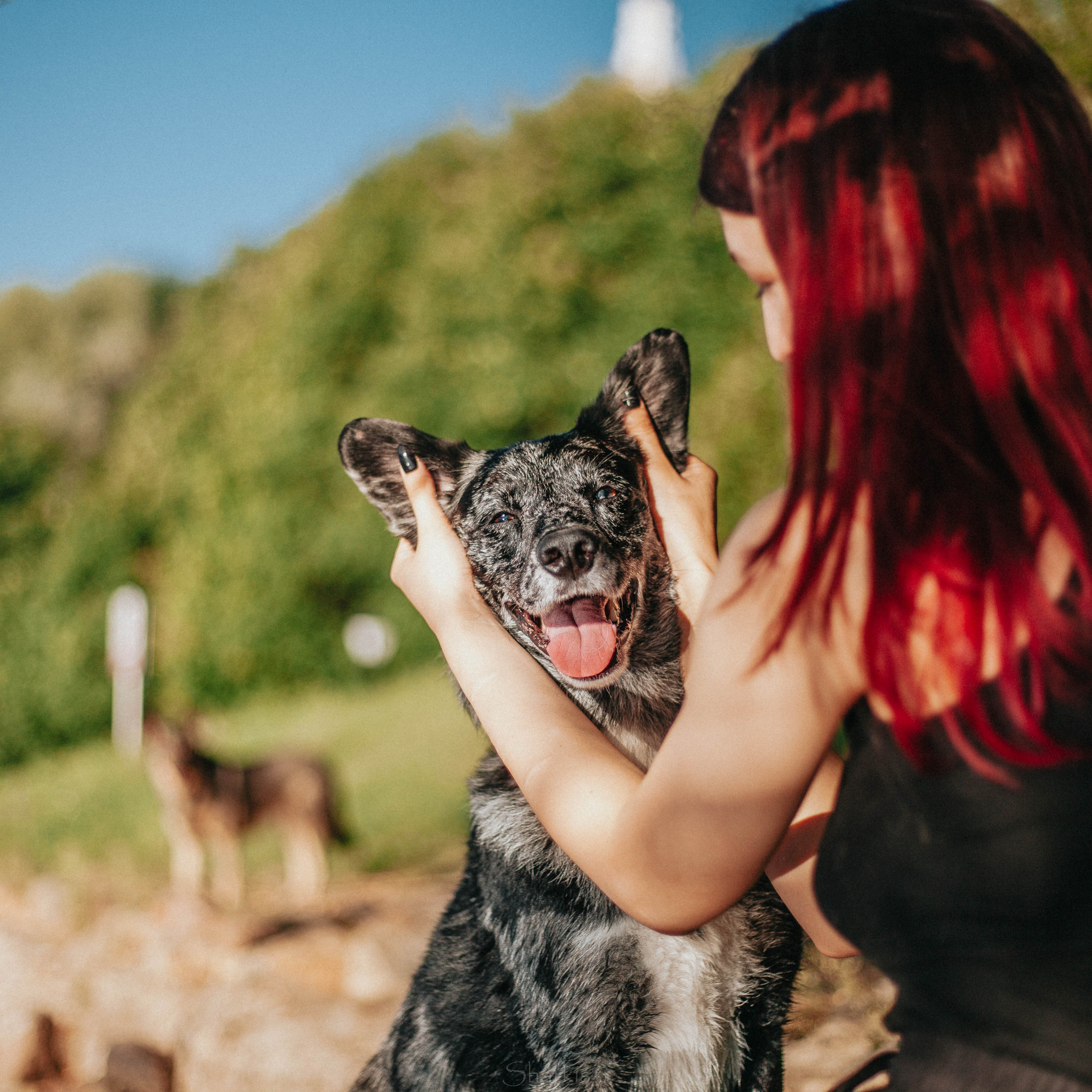 Вега и Гриша. Главная