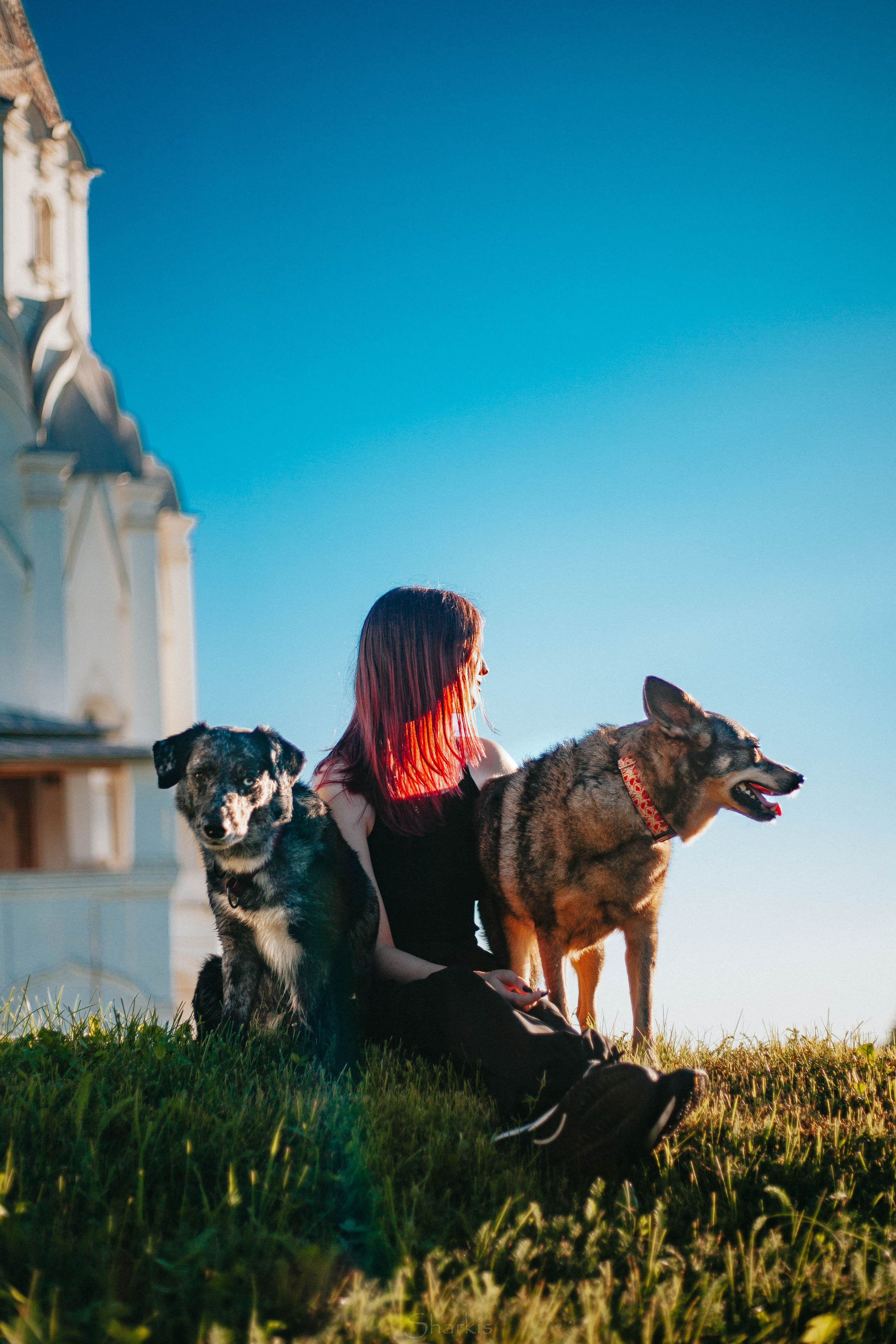 Вега и Гриша. Главная