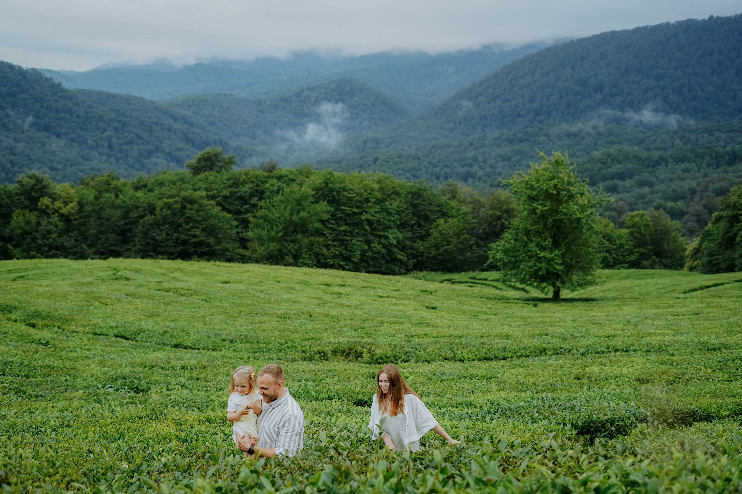 Мацеста, водопады и чайные плантации