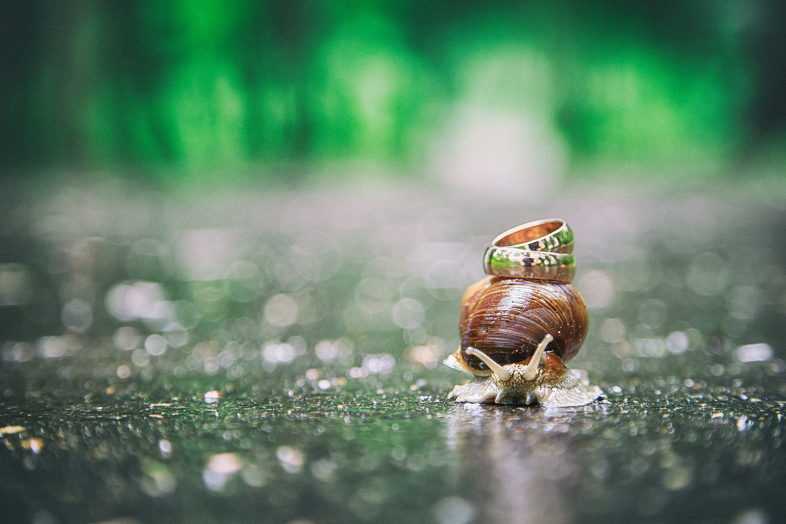 Свадебная. Фотограф Лукьянов Виталий Тульская область