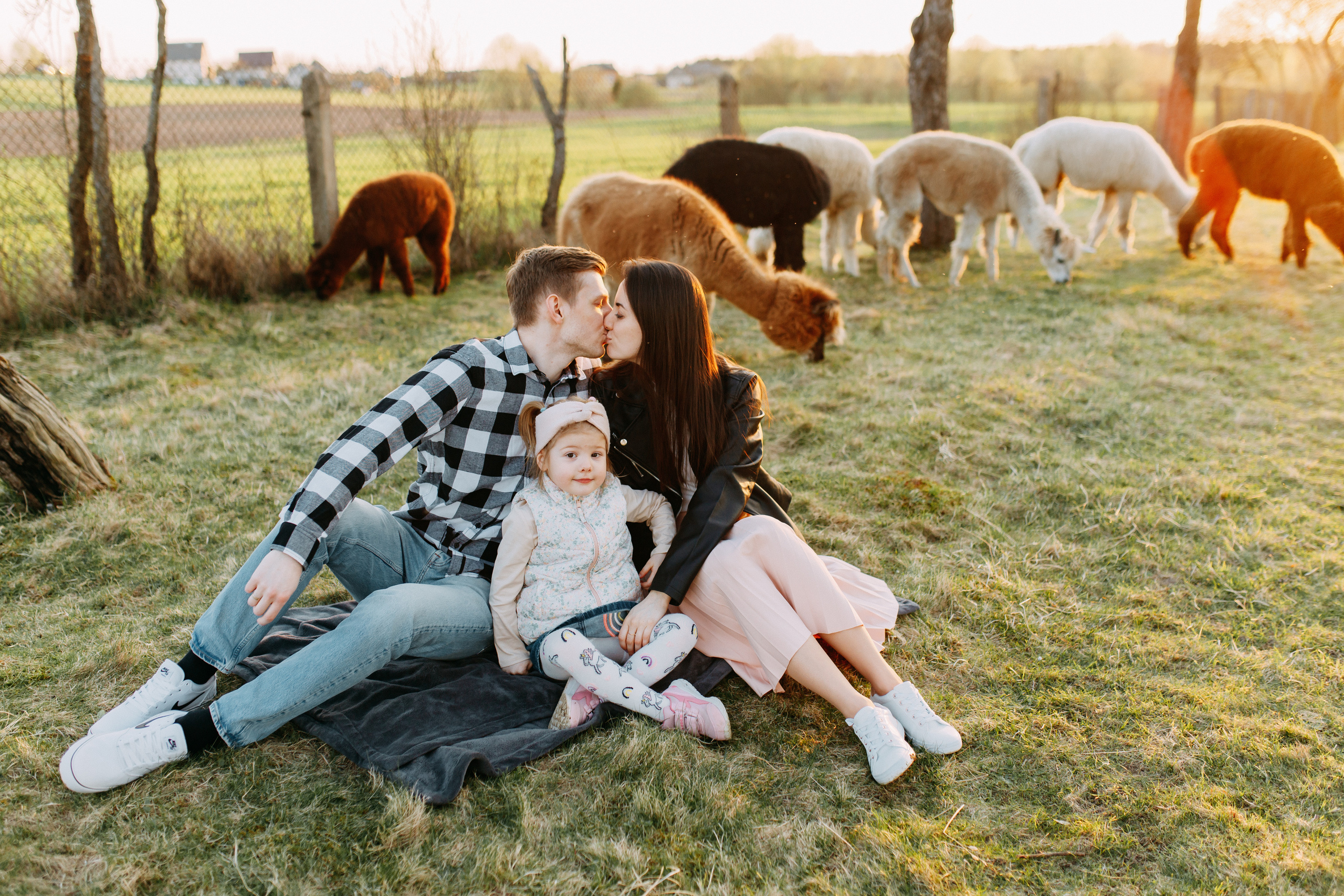 На ферме с альпаками • Весна 2023. Фотограф в Калининграде Екатерина Осинцева