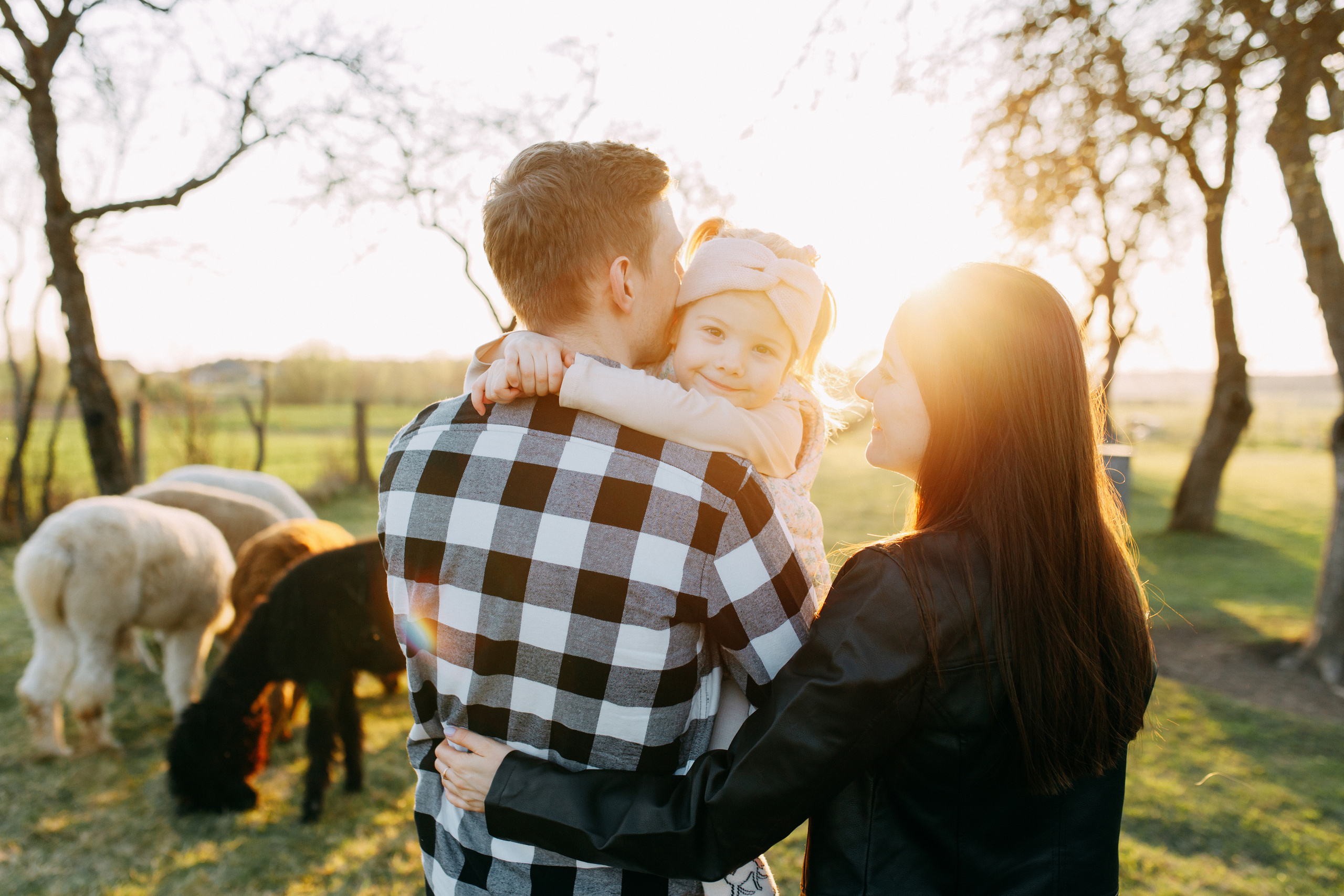 На ферме с альпаками • Весна 2023. Фотограф в Калининграде Екатерина Осинцева
