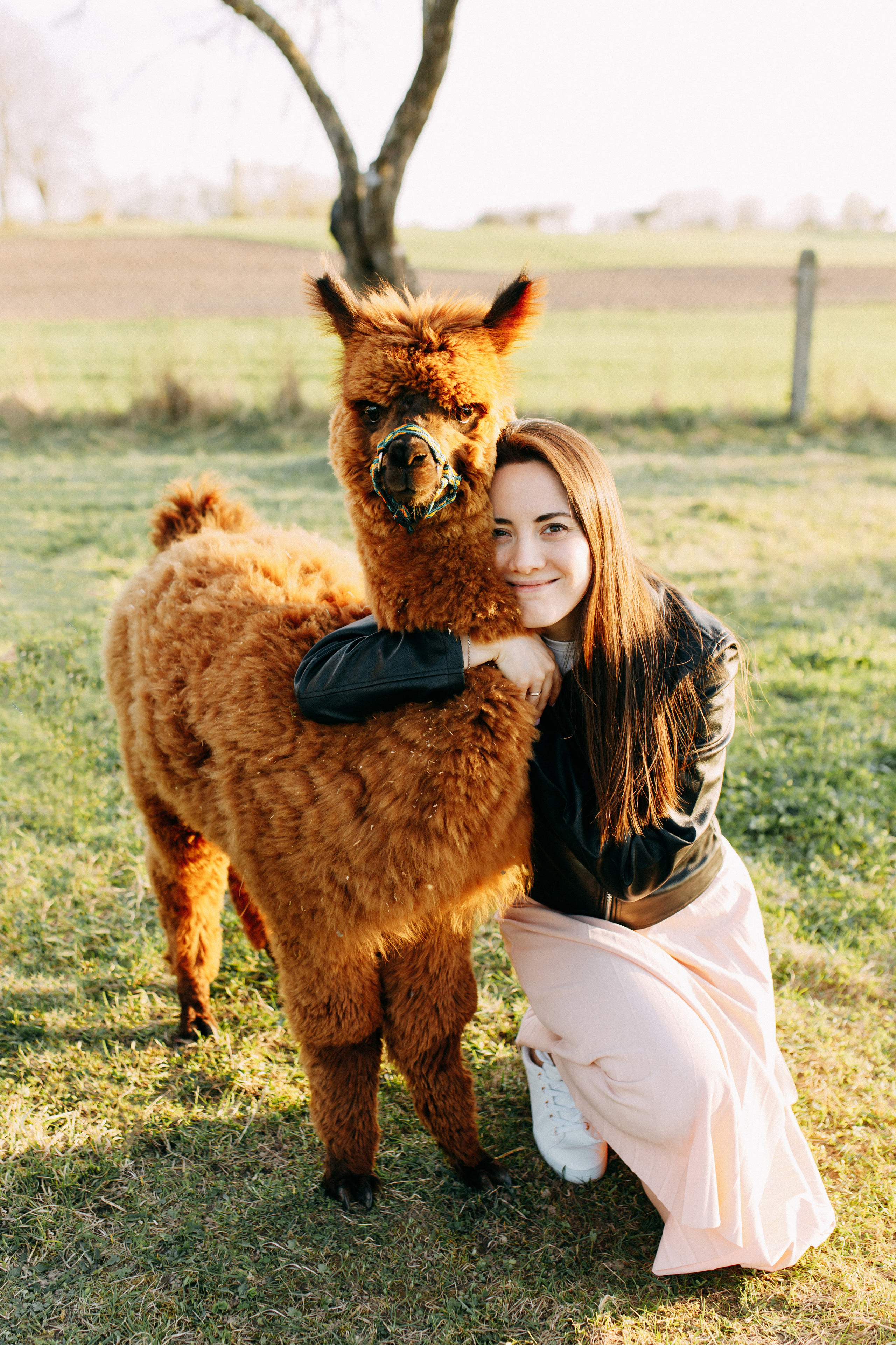 На ферме с альпаками • Весна 2023. Фотограф в Калининграде Екатерина Осинцева