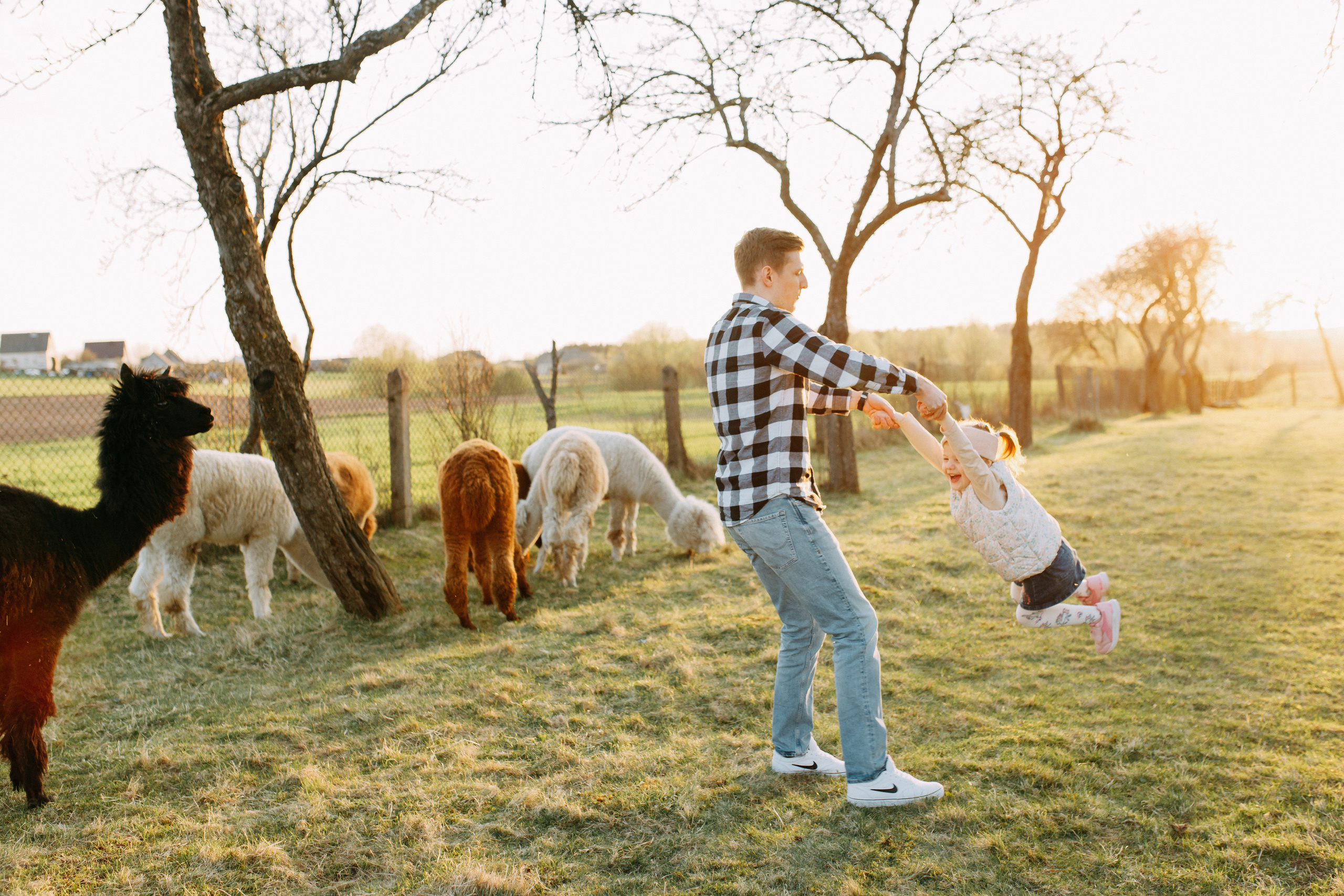 На ферме с альпаками • Весна 2023. Фотограф в Калининграде Екатерина Осинцева