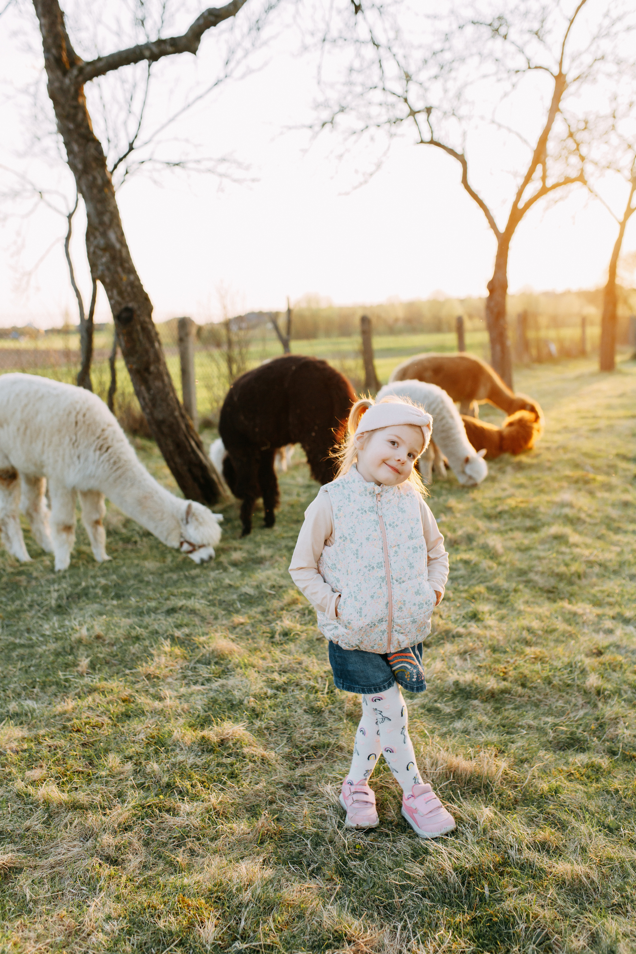 На ферме с альпаками • Весна 2023. Фотограф в Калининграде Екатерина Осинцева