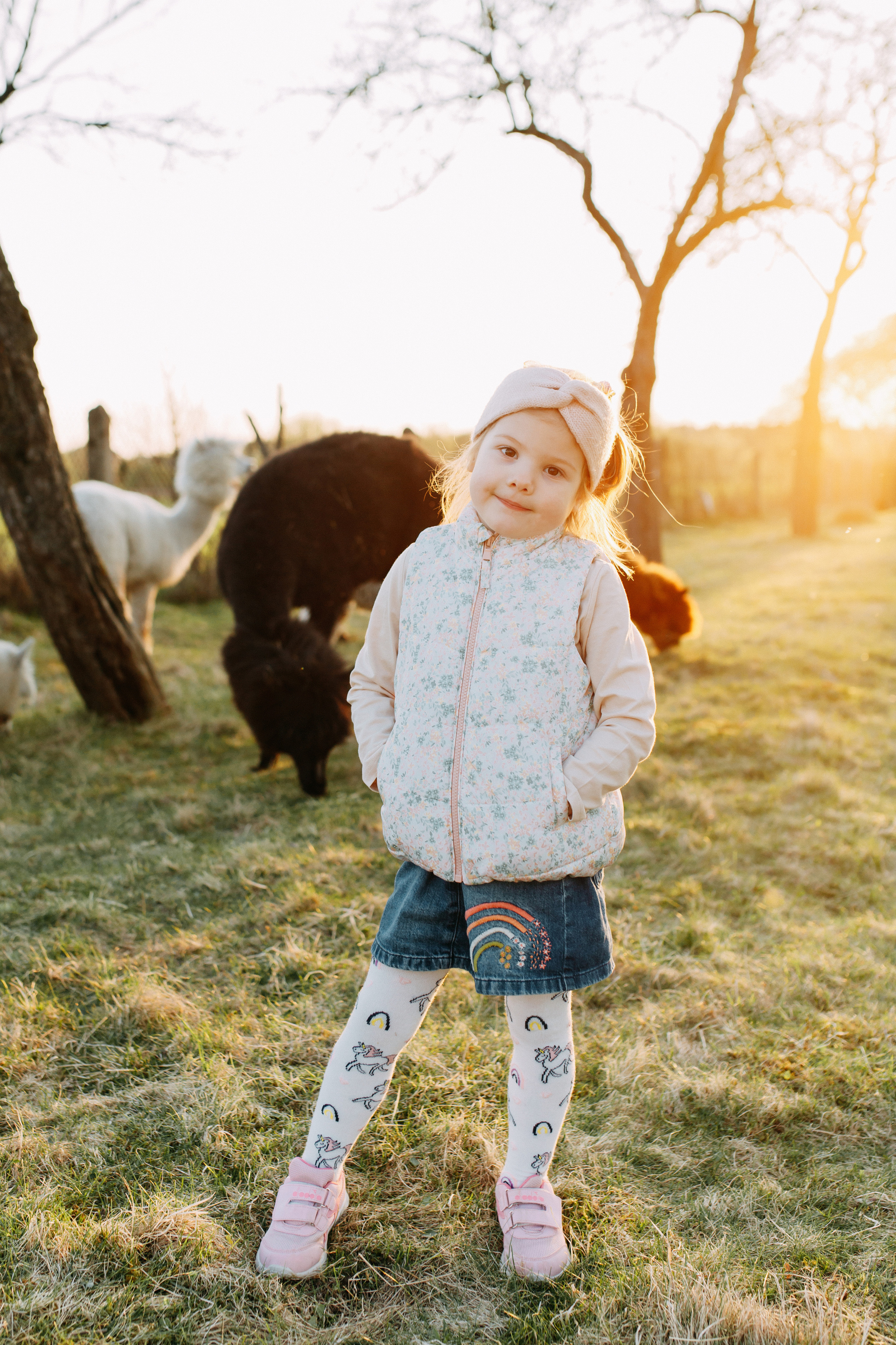 На ферме с альпаками • Весна 2023. Фотограф в Калининграде Екатерина Осинцева