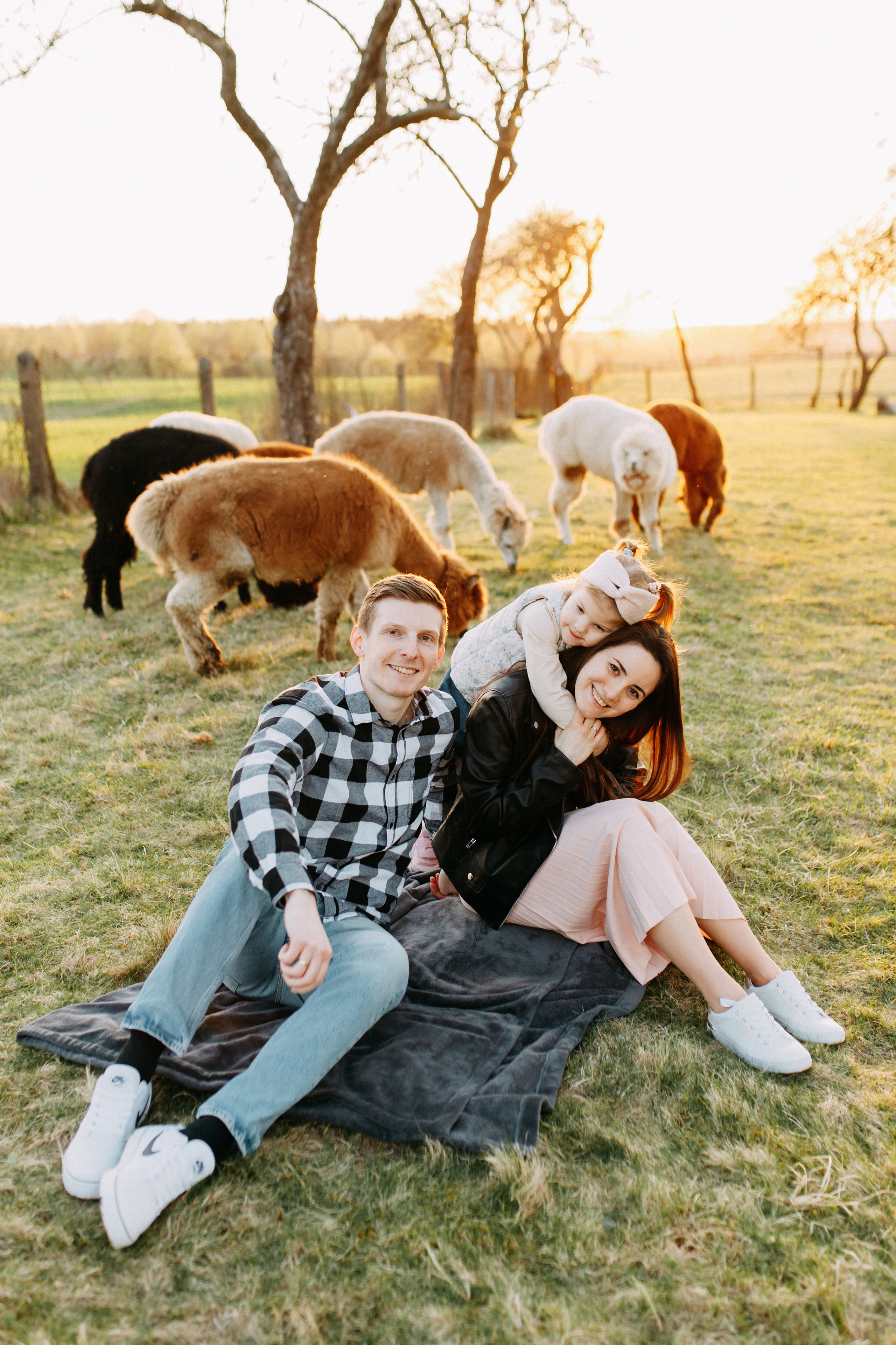 На ферме с альпаками • Весна 2023. Фотограф в Калининграде Екатерина Осинцева