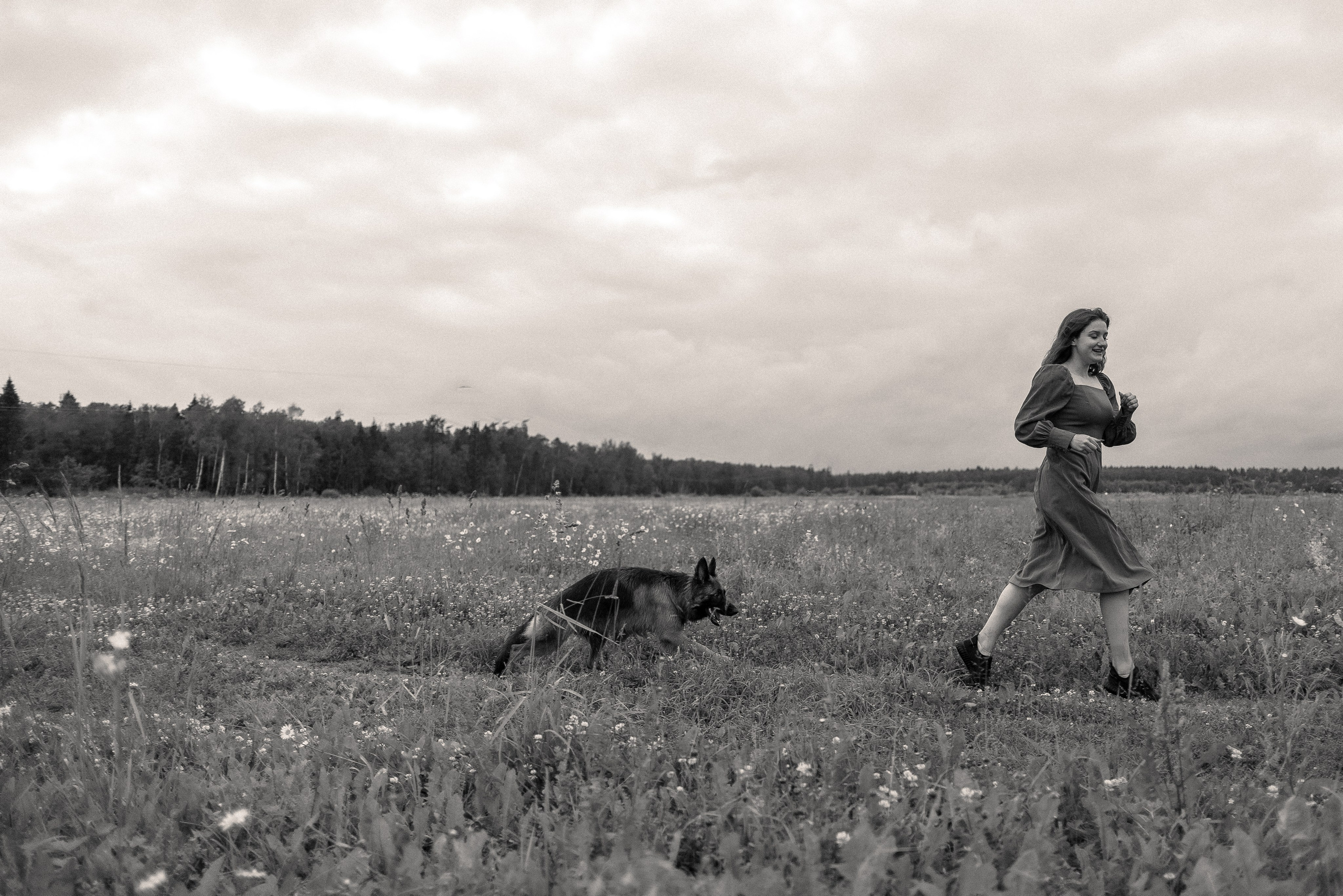 Алена, Фанни и Фрея. Фотограф и видеограф анималист Аганина Дарья