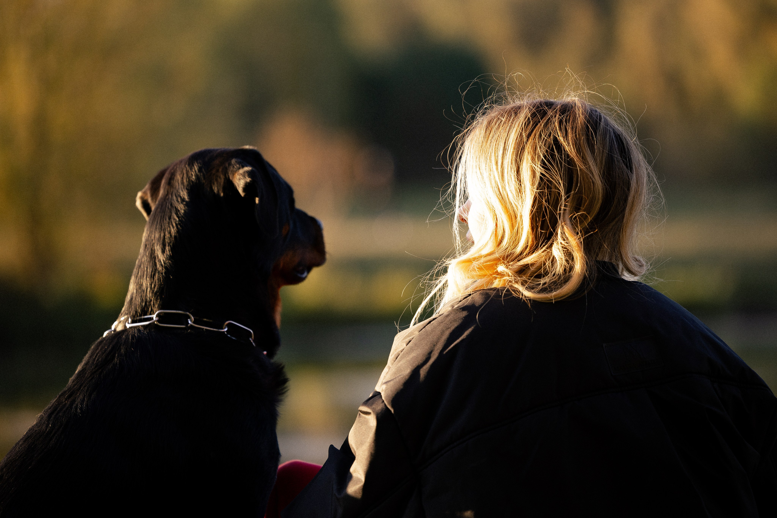 Катя, Леша, Лея и Трой. Фотограф и видеограф анималист Аганина Дарья