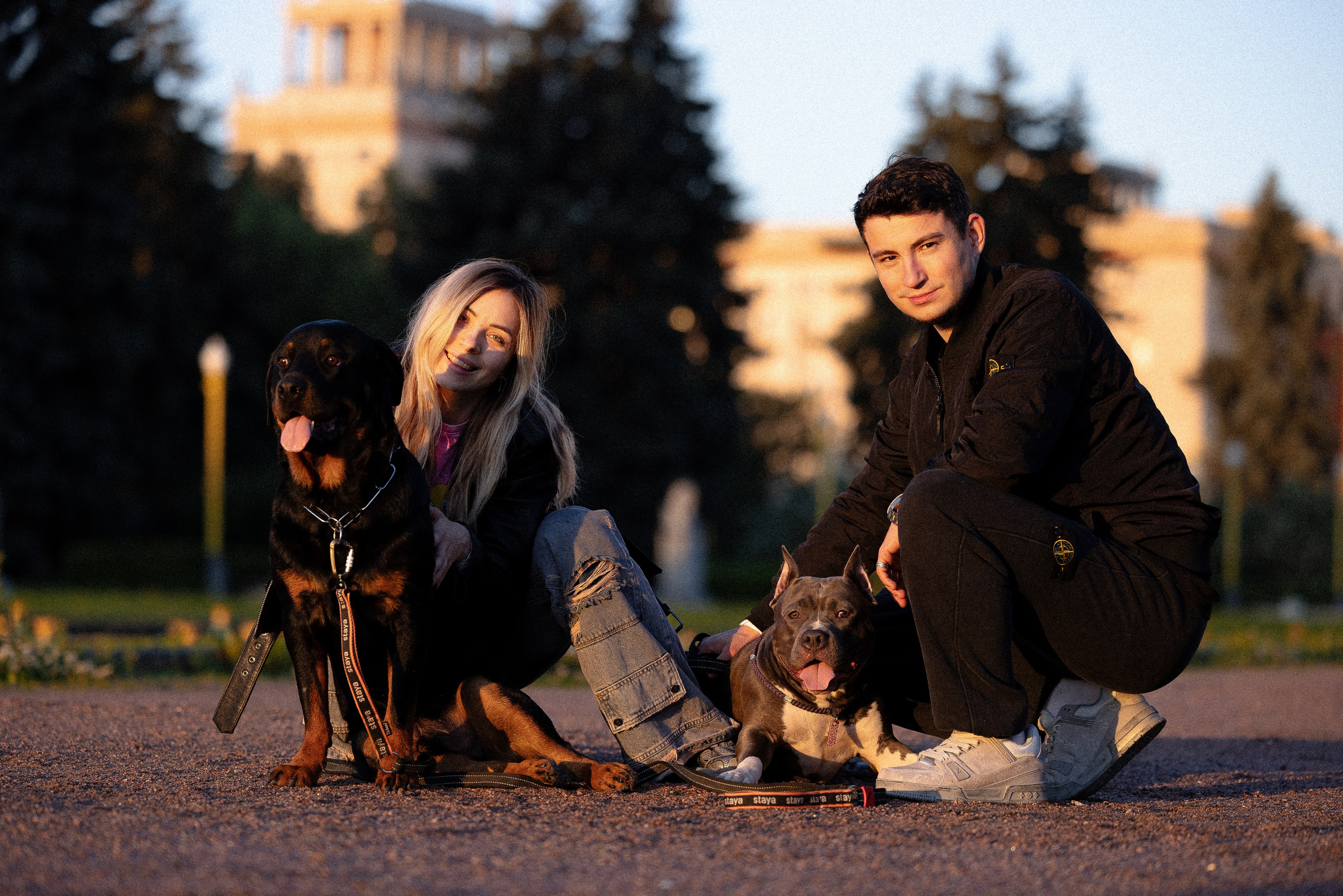 Катя, Леша, Лея и Трой. Фотограф и видеограф анималист Аганина Дарья