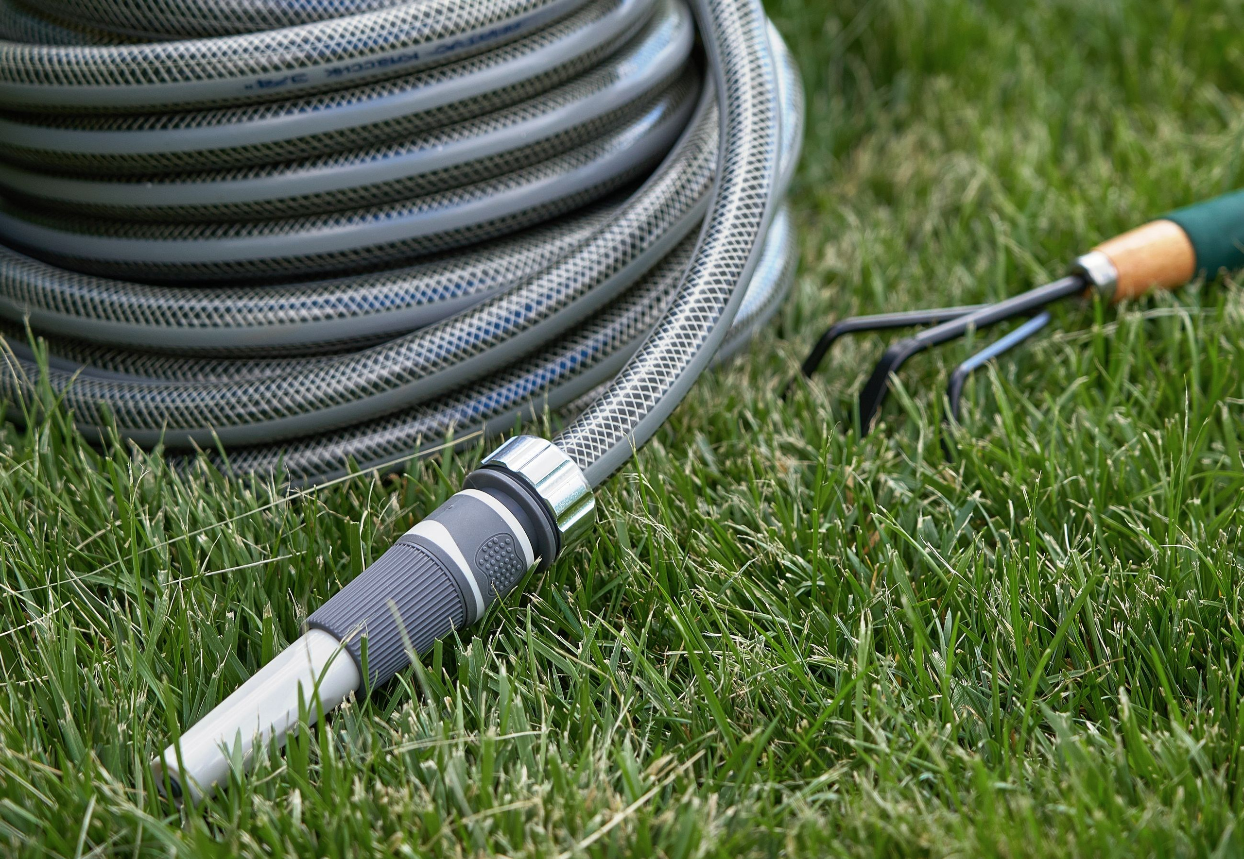 Without PROCESSING. Max Matvich and Victoria Basova are professionals in their field